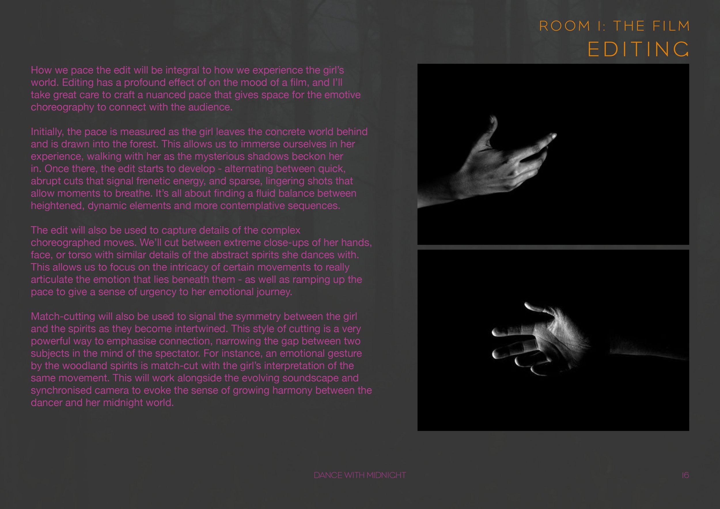 Dance With Midnight_Multimedia Installation_P17.jpg