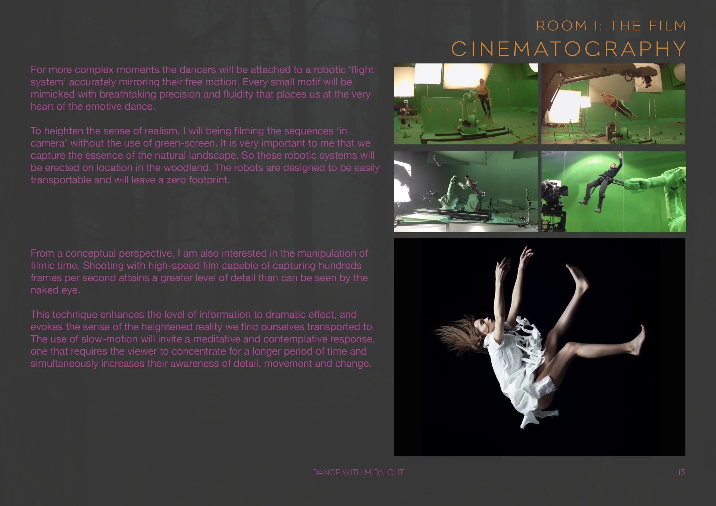 Dance With Midnight_Multimedia Installation_P16.jpg