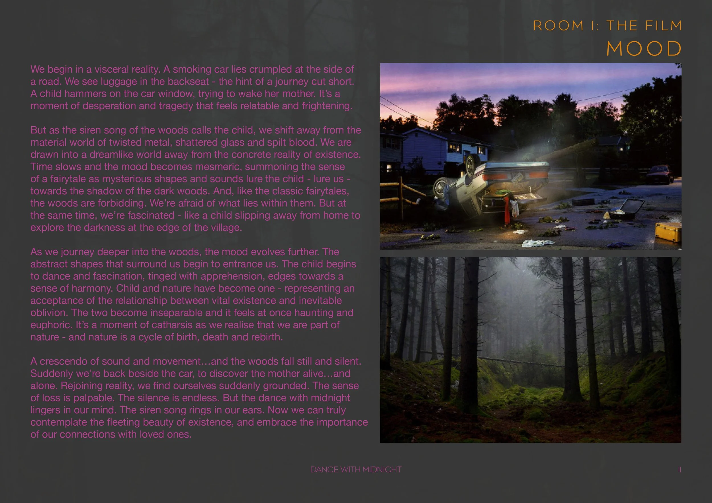 Dance With Midnight_Multimedia Installation_P12.jpg