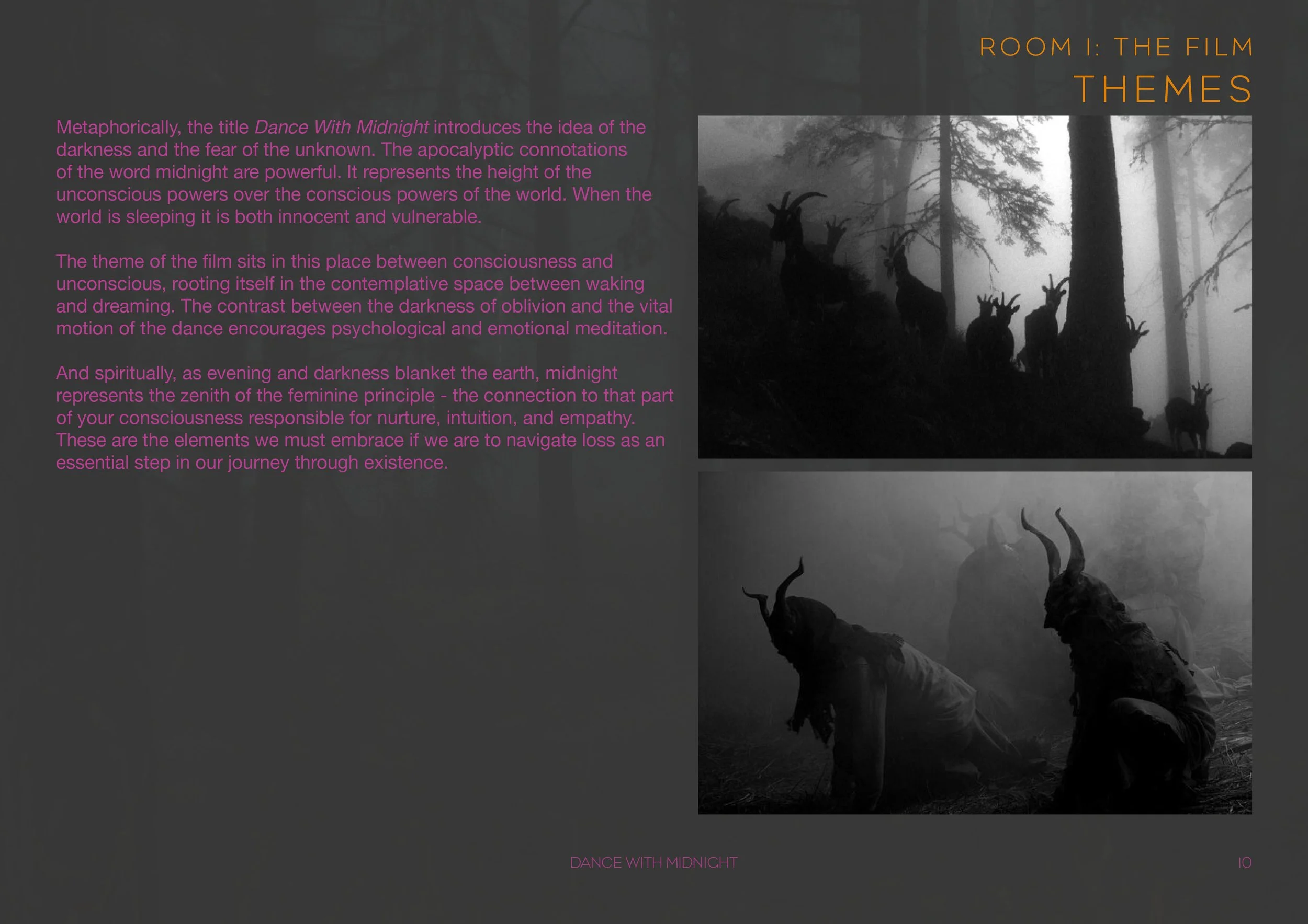 Dance With Midnight_Multimedia Installation_P11.jpg