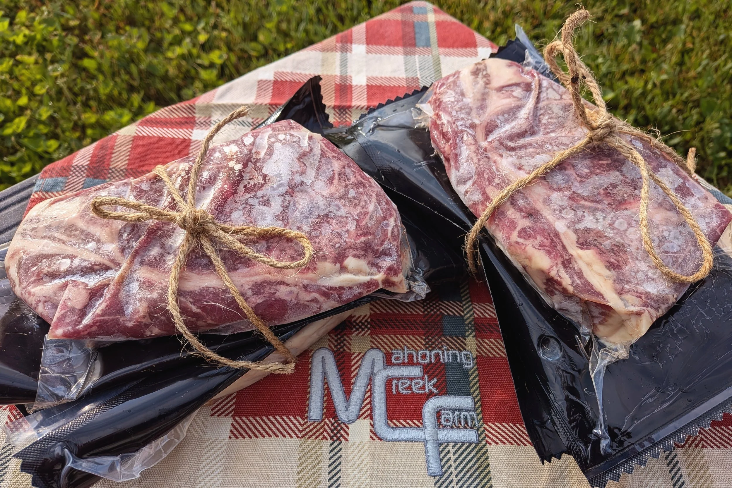 Delmonico bundle outside.jpg