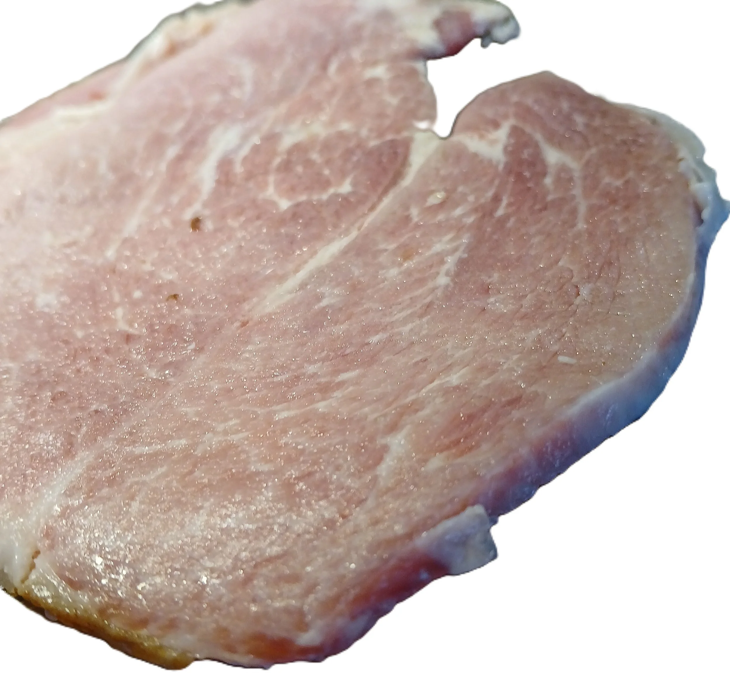 .25 in ham showing width.jpg
