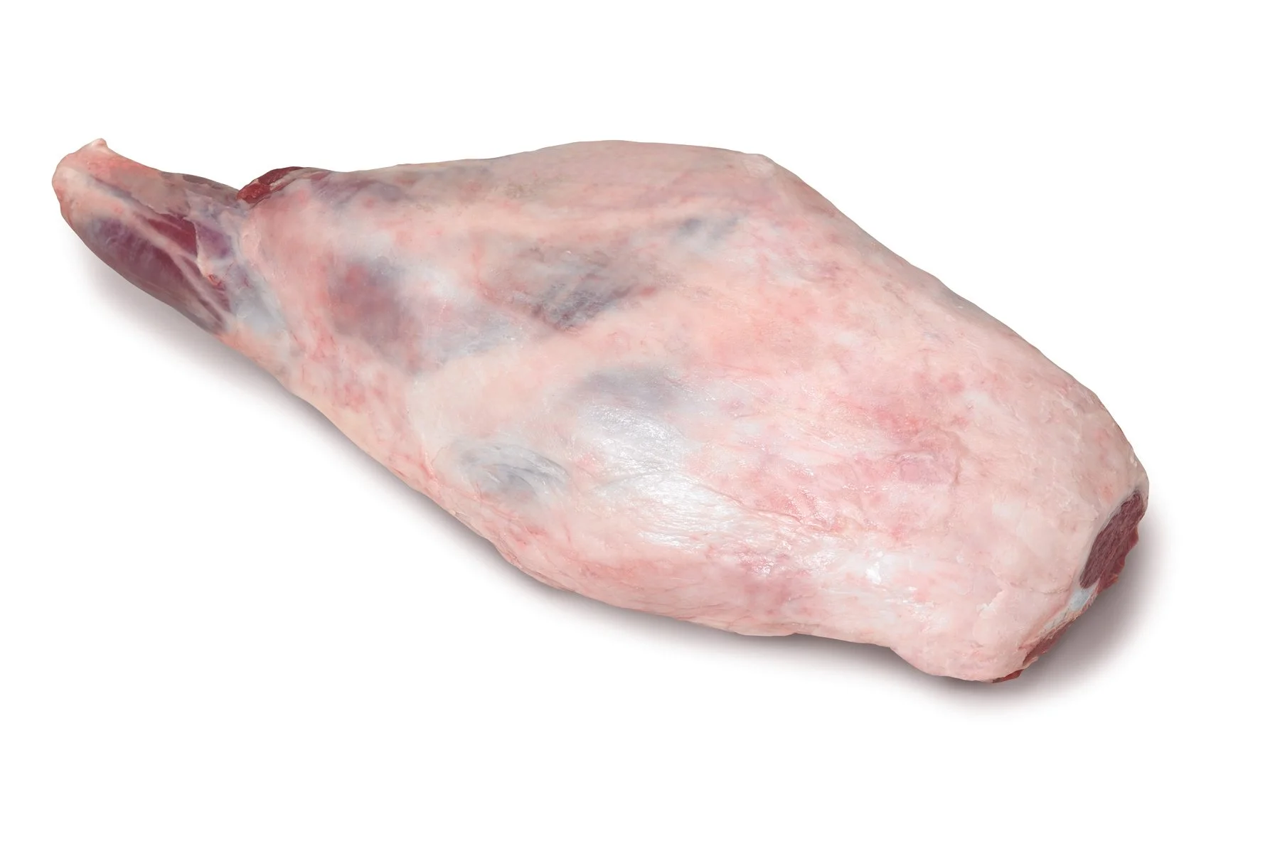 LE-1WHOLELEG.jpg
