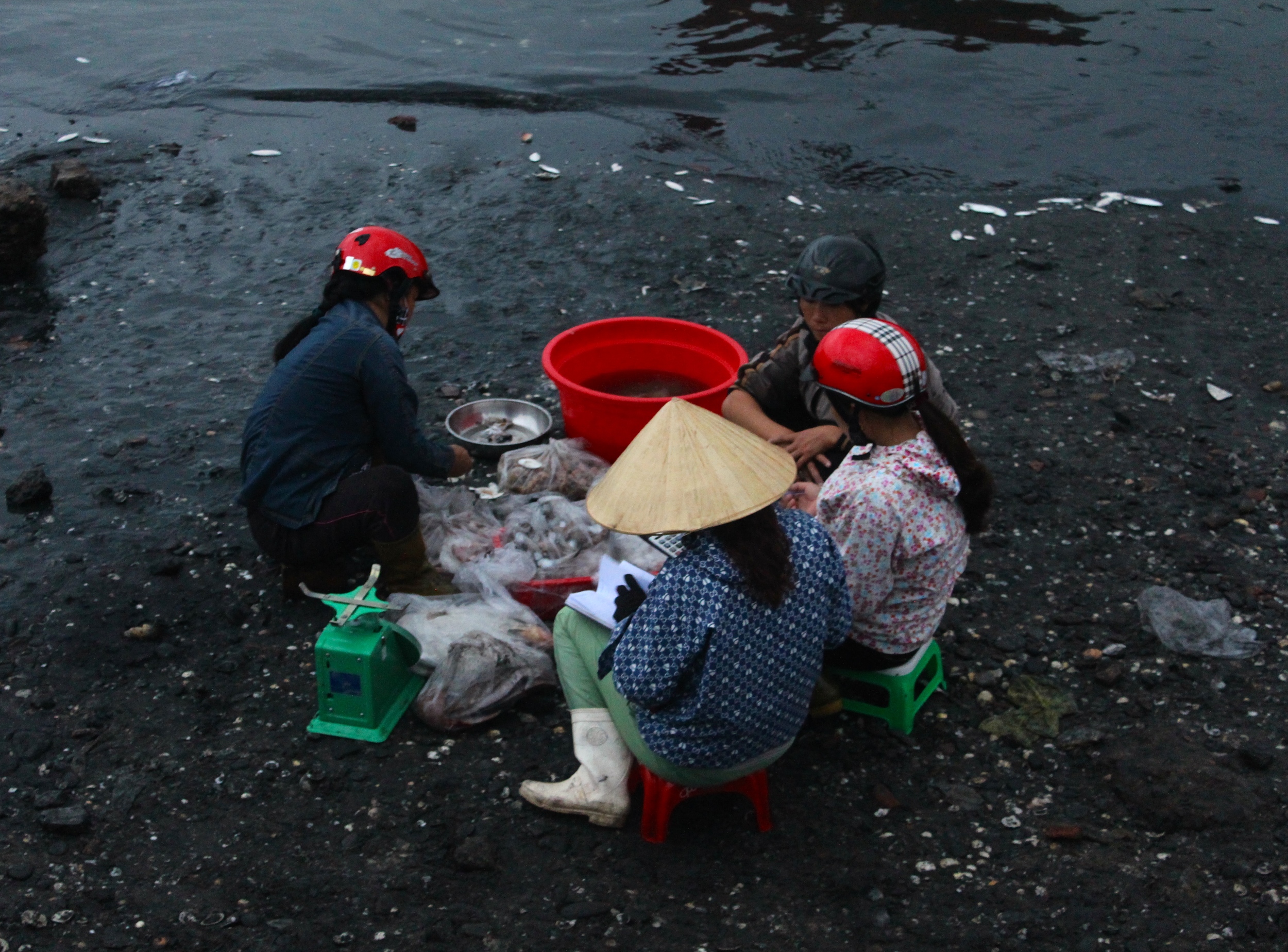 Fish market in Dong Hoi