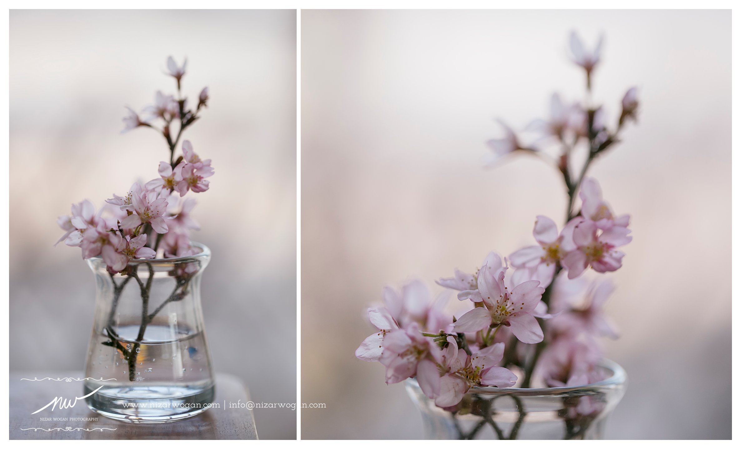 The tiny cherry blossoms from Mameka? :)