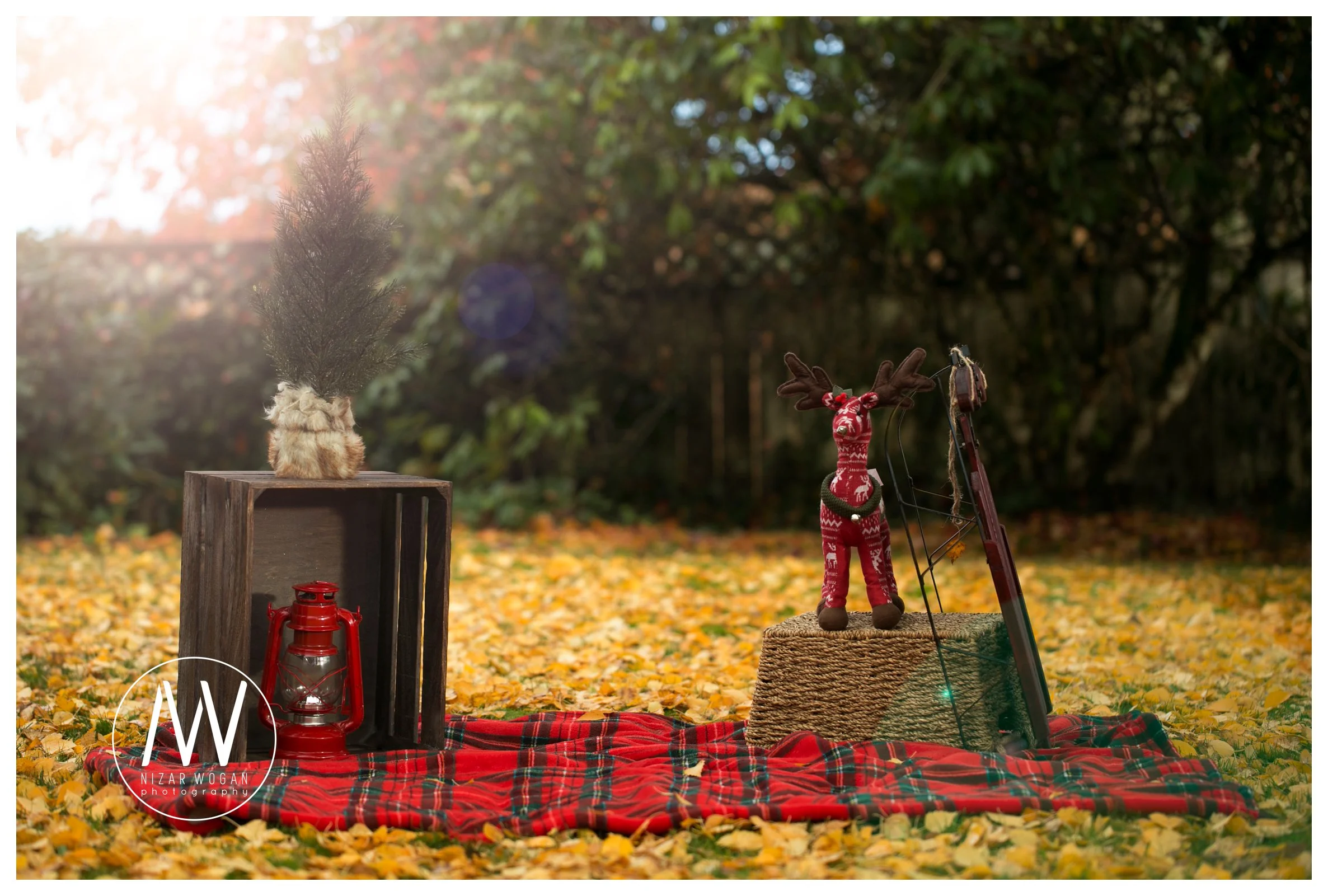 The set up! I was thinking this setting would be an amazing backdrop for Emily, Koko, and Kiko's individual pictures. 