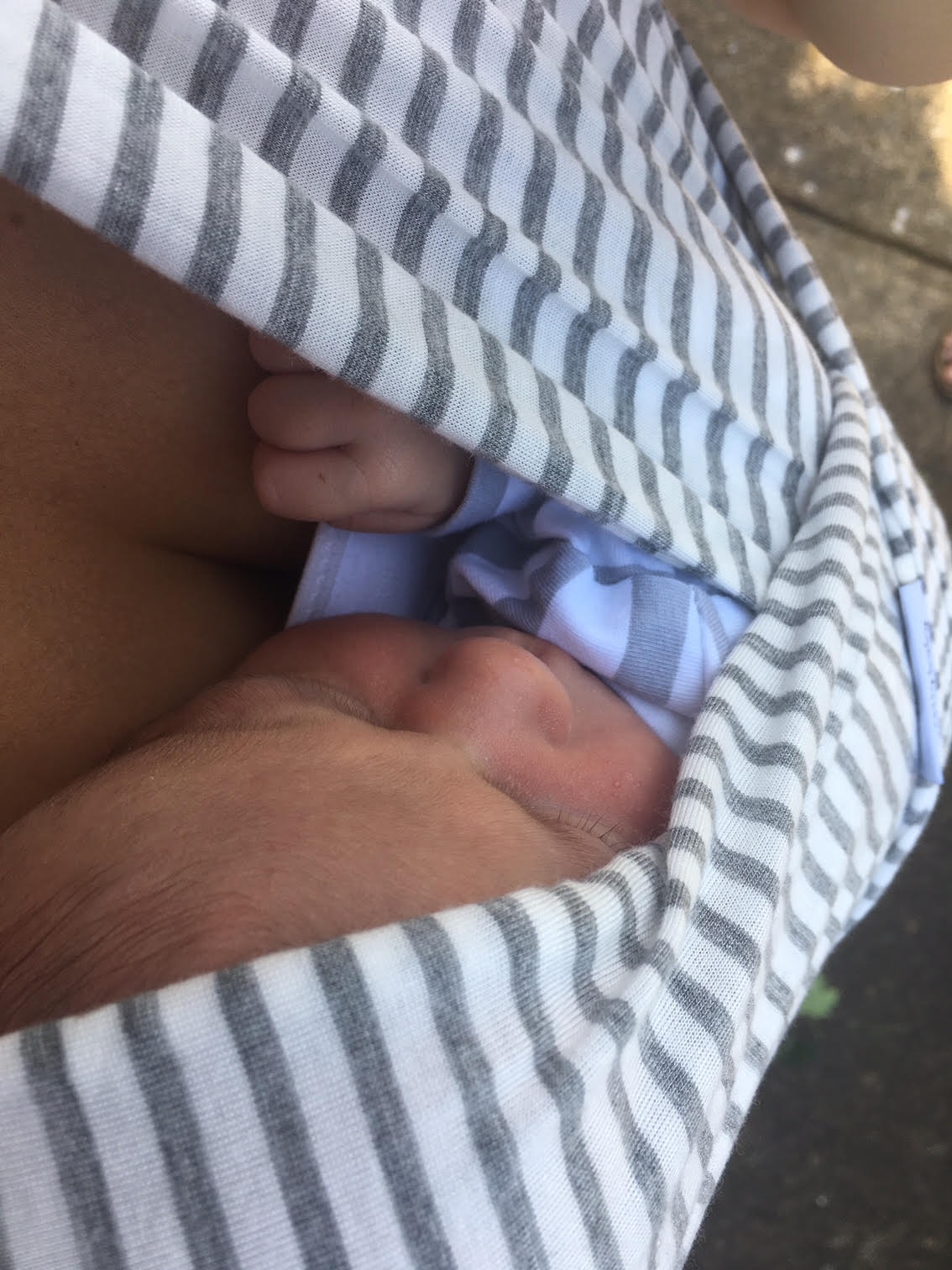 solly-wrap.jpg