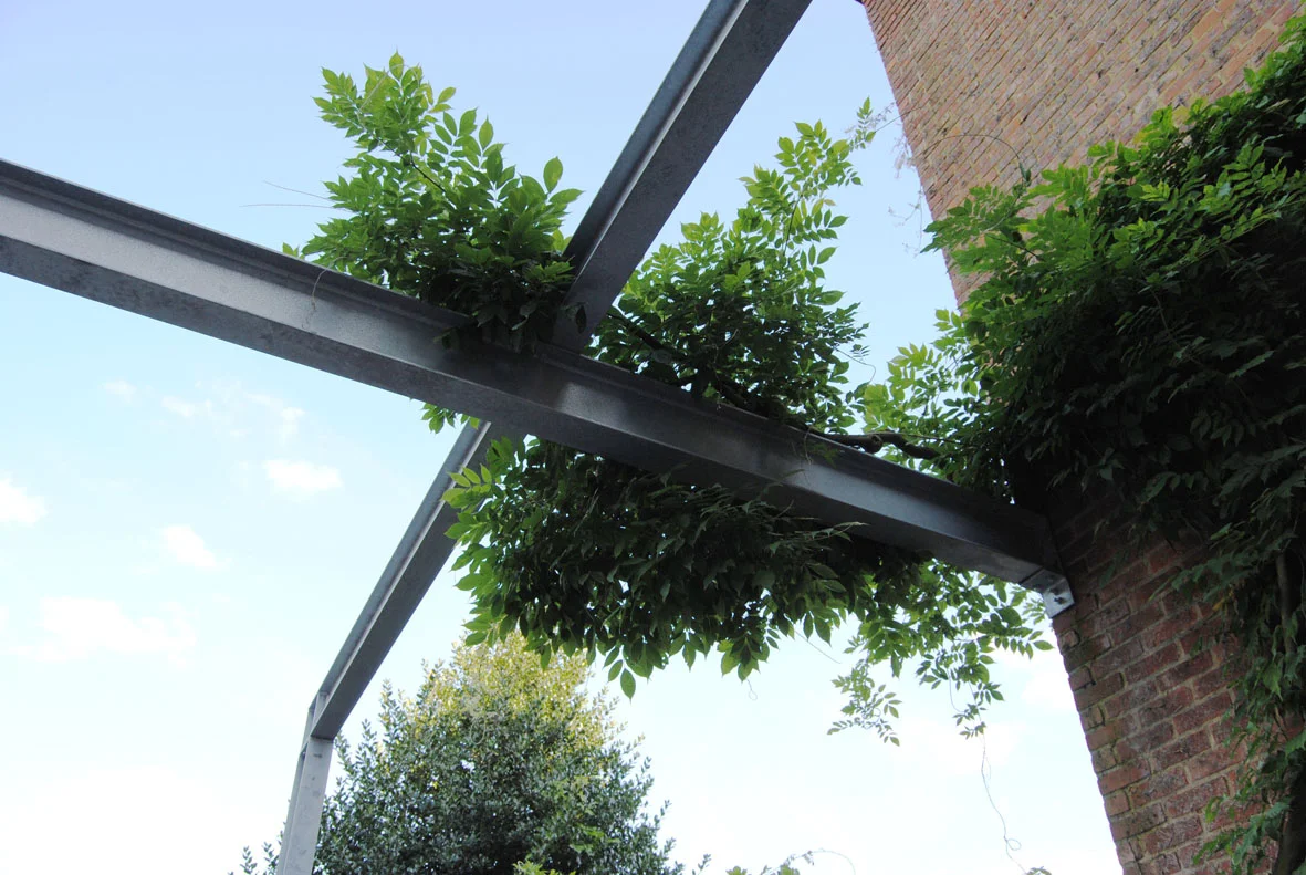    Een gegalvaniseerd stalen structuur draagt het dak van de uitbreiding en ondersteunt een bewaarde klimplant. 