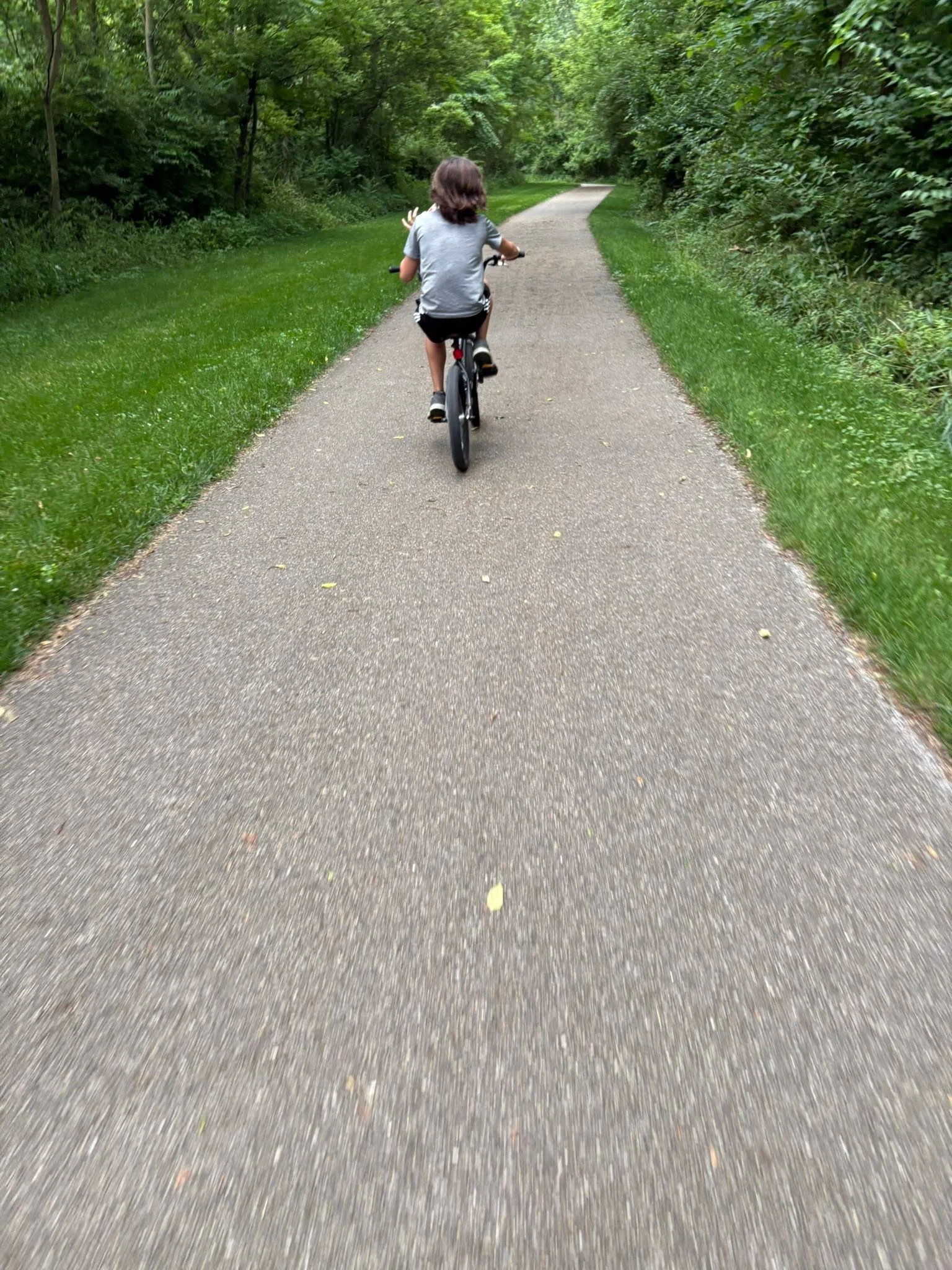 I had 3 wishes today. 
1. Spend quality time with my wife and kids.
2. Eat at Potbelly.
3. Surround myself with nature. 🌲🌲🌲
All my wishes came true!  However, what I pictured as a leisurely walk in the woods materialized as an intense 40-minute hi