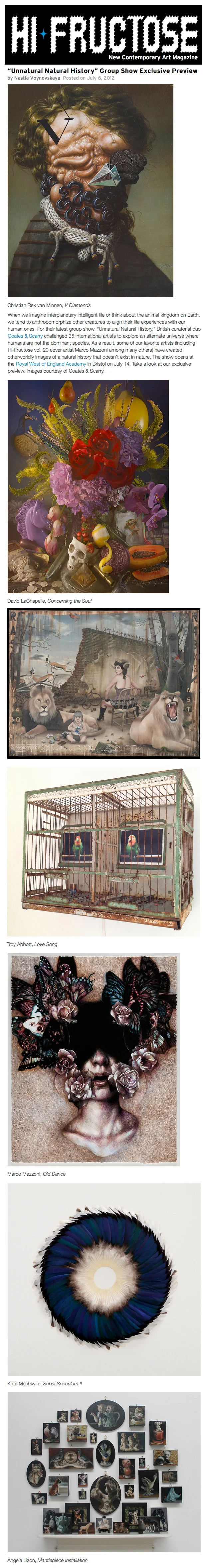 Hi Fructose Kate MccGwire