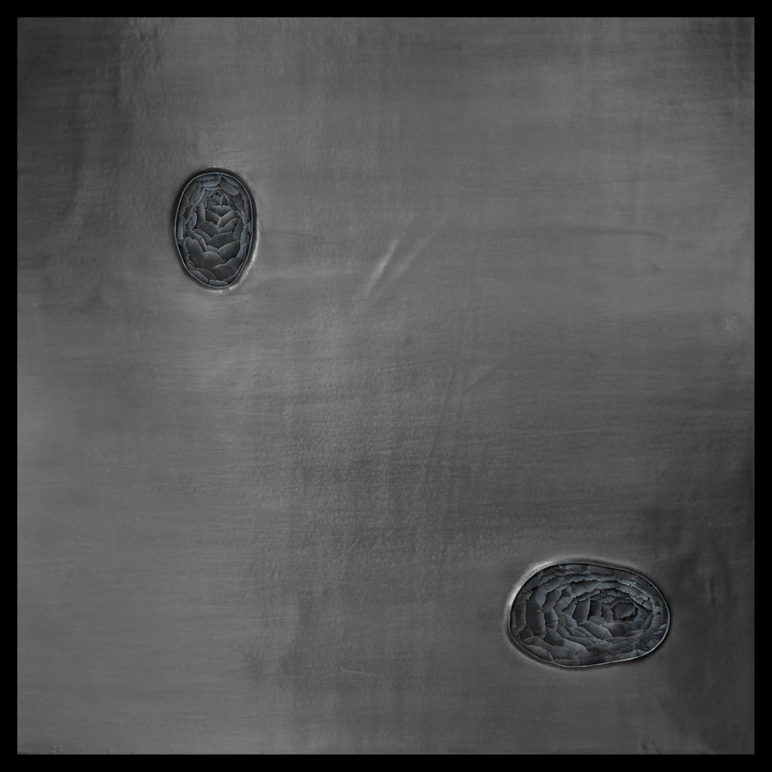 Stigma (Plumula), 2015, Kate MccGwire