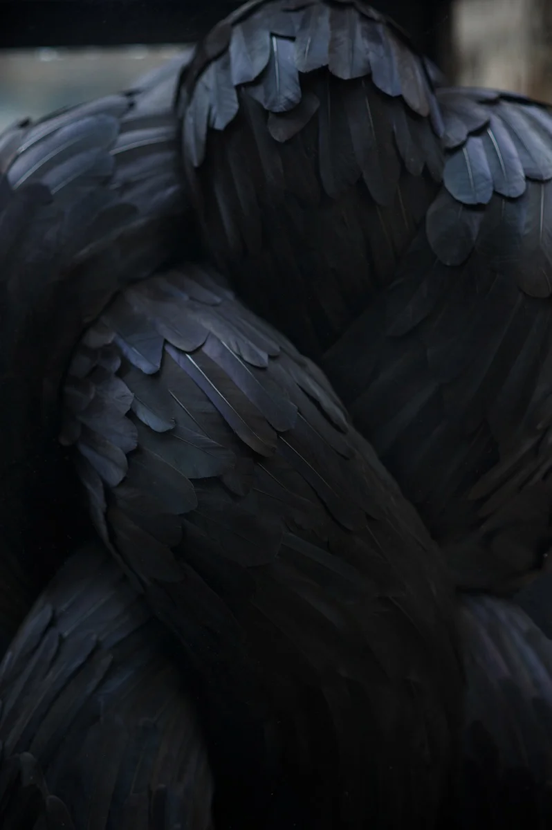 Flail (detail), 2013, Kate MccGwire