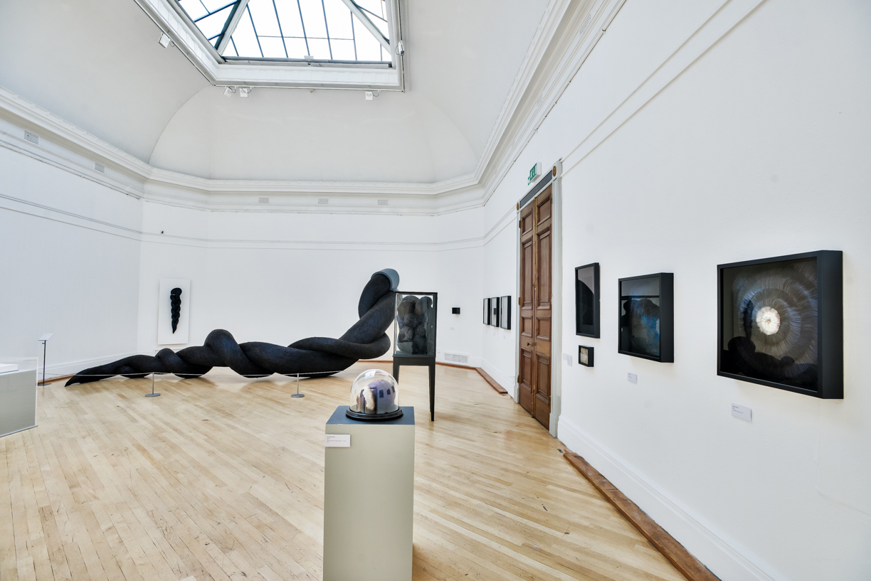  Exhibition View,&nbsp;Kate MccGwire, RWA,&nbsp;Bristol &nbsp;-&nbsp;Photo:&nbsp; Jon Craig  