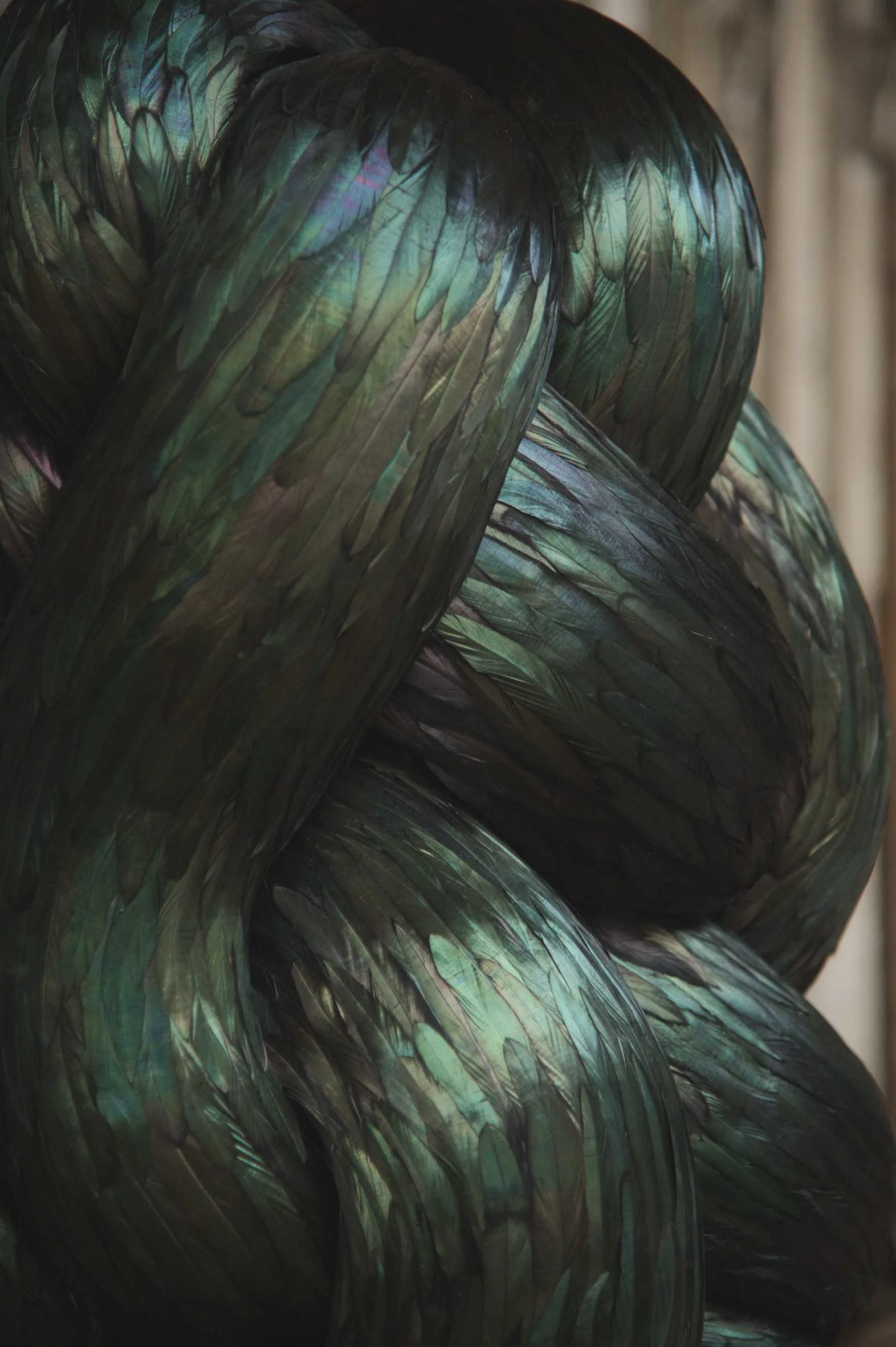 Convolous (detail), 2015, Kate MccGwire - Photo JP Bland