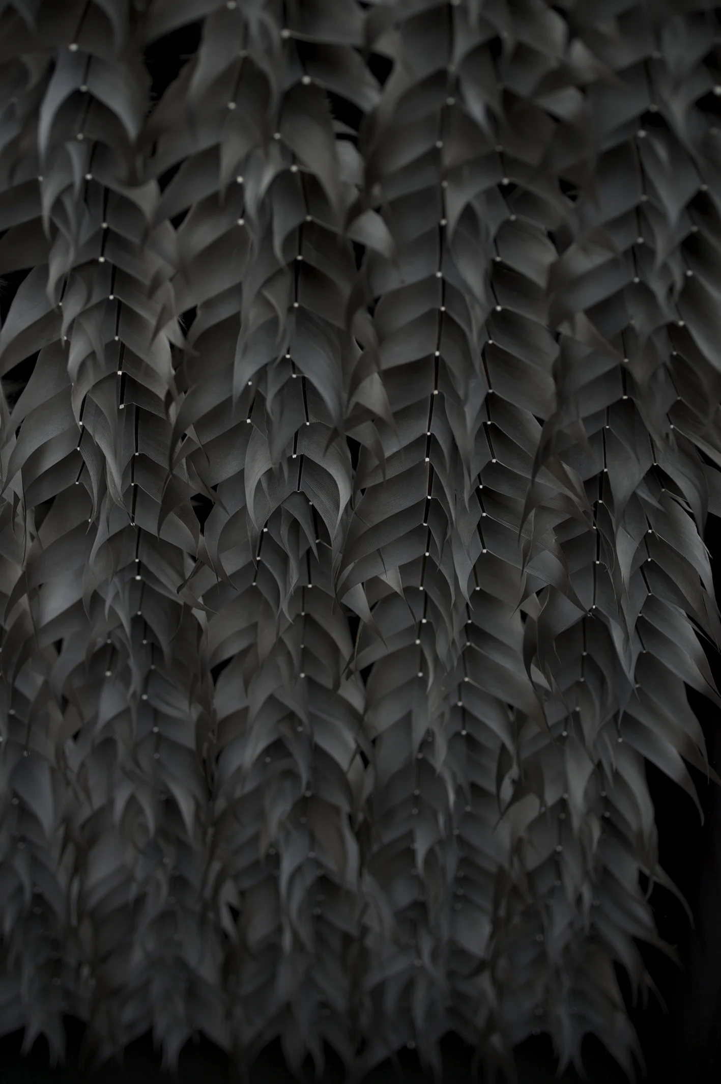 SECRETE: KATE MccGWIRE, BERLIN