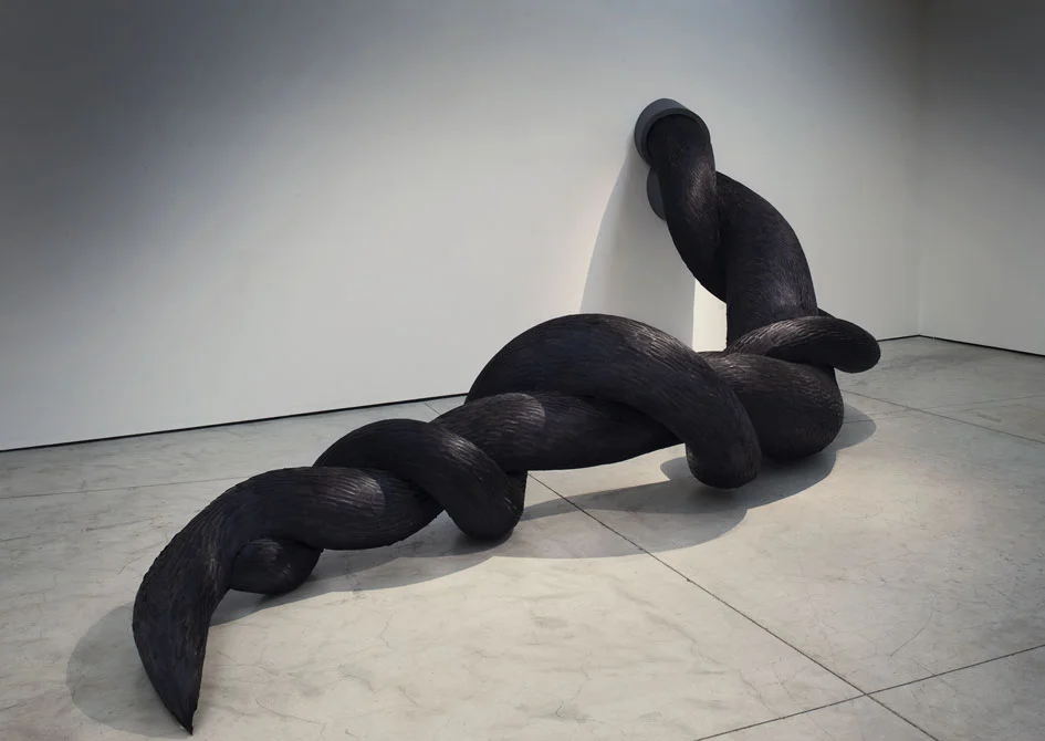 BEAUTY OF THE BEAST, HOLLAND