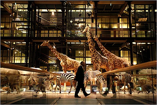 NATURAL HISTORY MUSEUM, PARIS