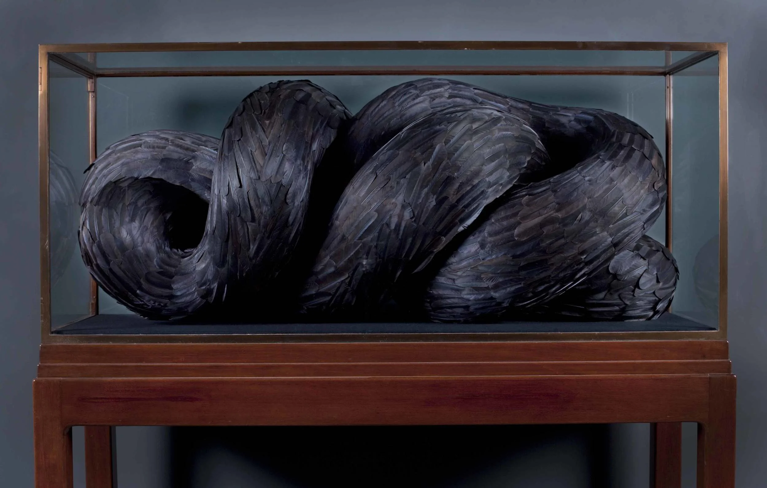 THE WONDER OF BIRDS, NORFOLK