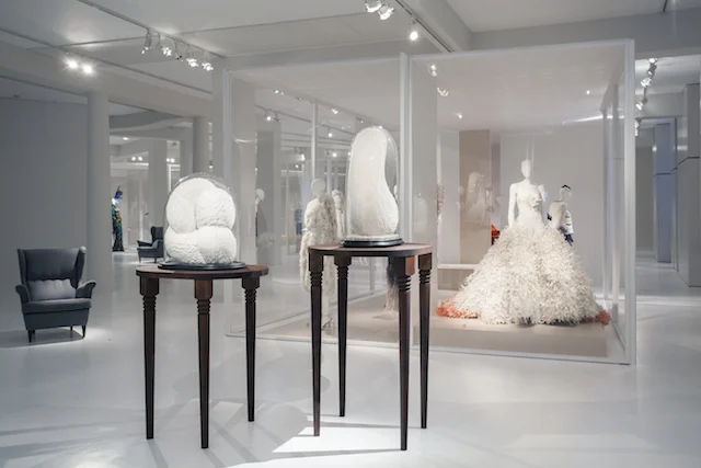 BIRDS OF PARADISE, ANTWERP