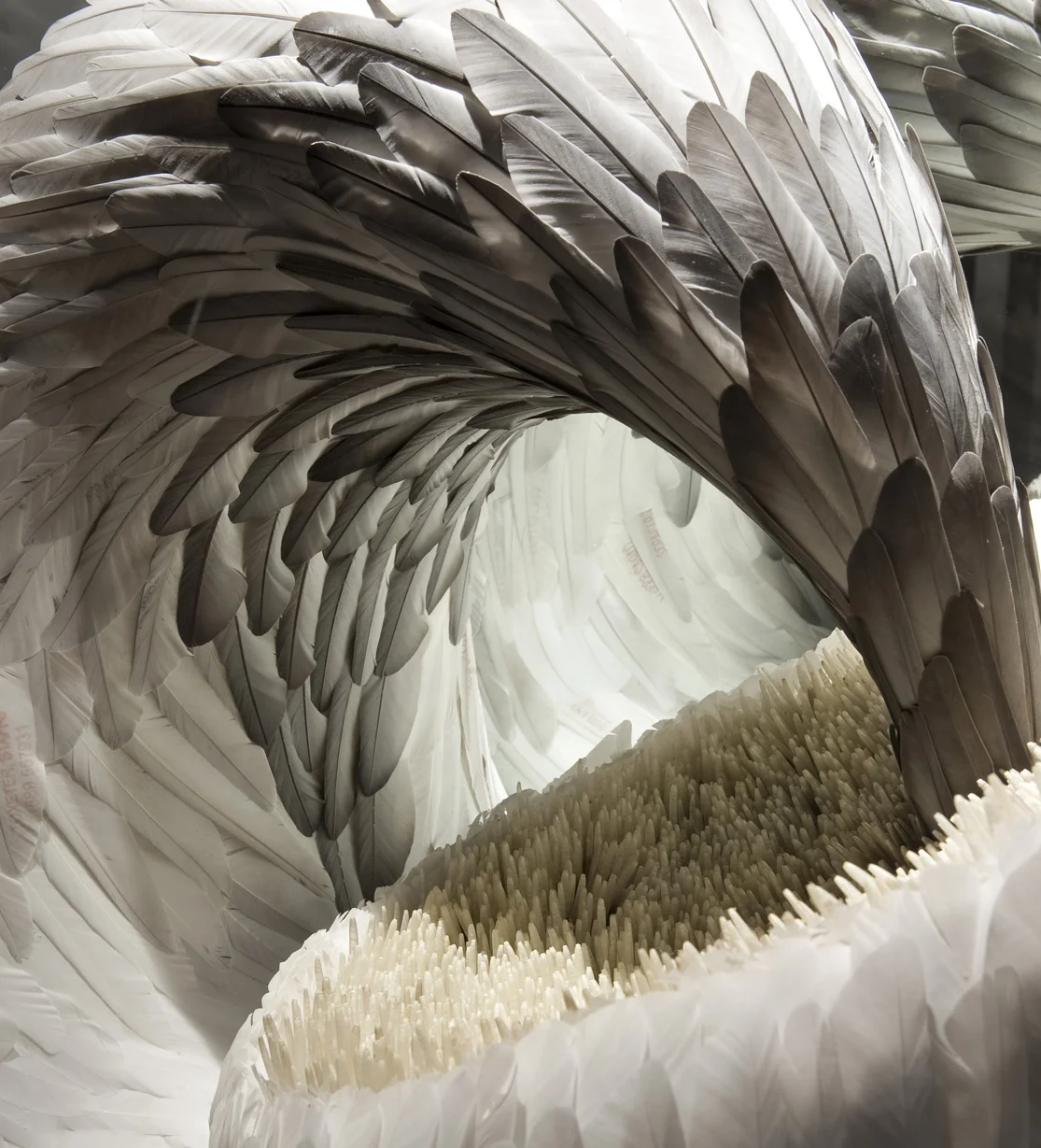 WONDERFUL: HUMBOLDT, KROKODIL &amp; POLKE, BERLIN