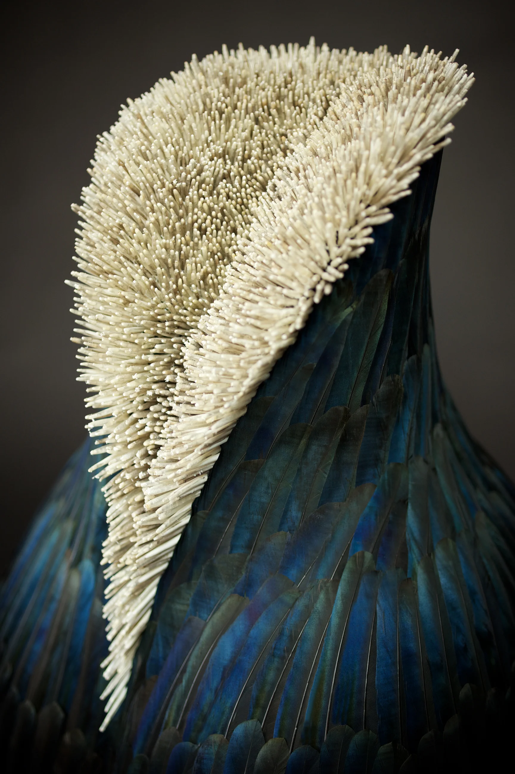 THE VIEWING ROOM, LONDON