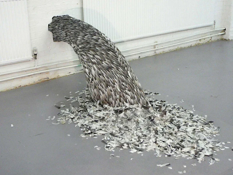 OPEN WEST 2013, CHELTENHAM