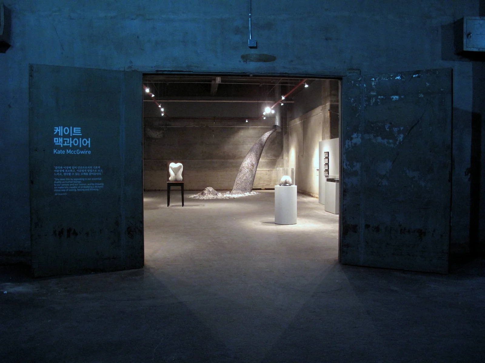 LURE: KATE MccGWIRE, SOUTH KOREA