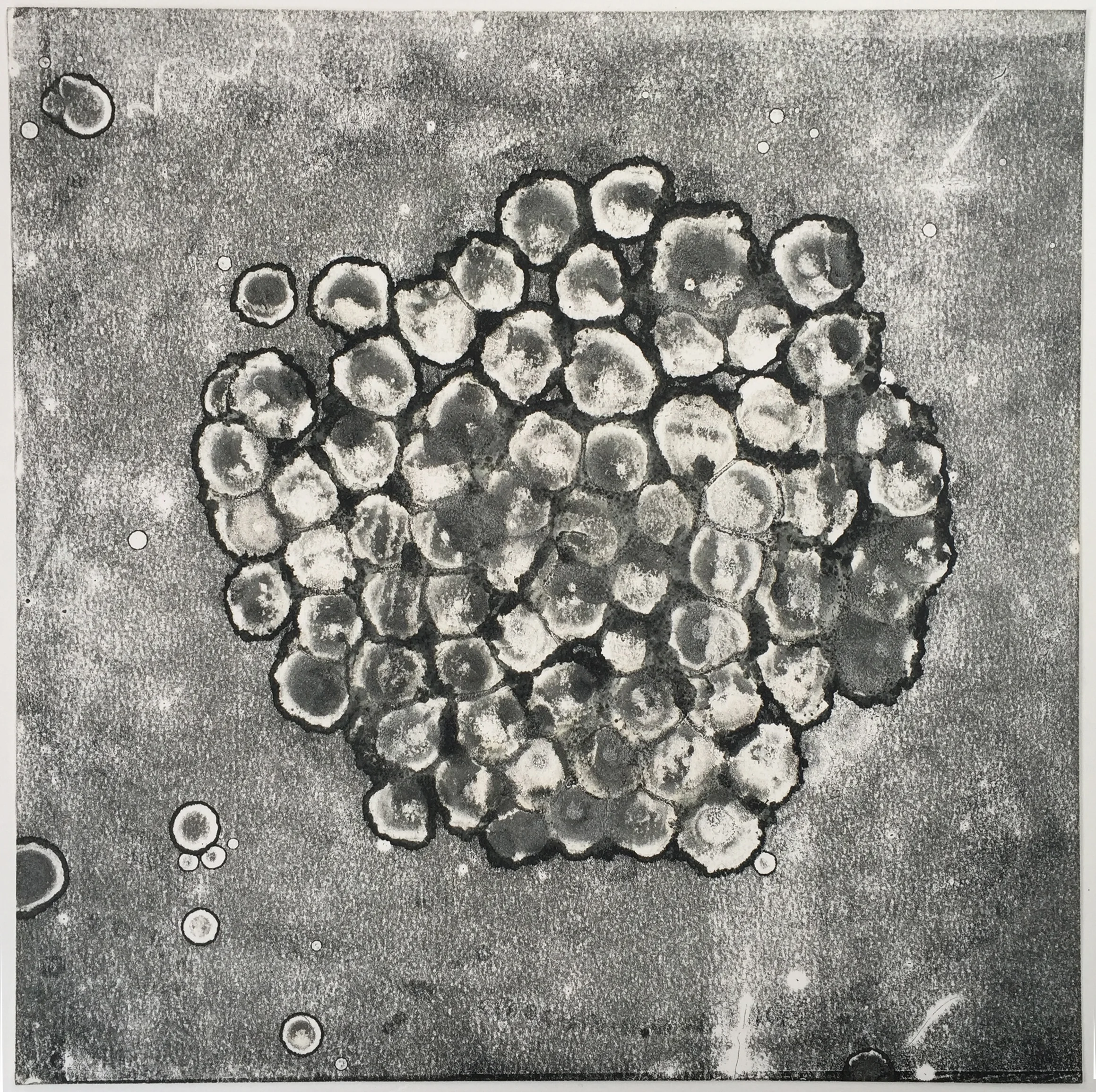 Spawn III, 2014, Kate MccGwire