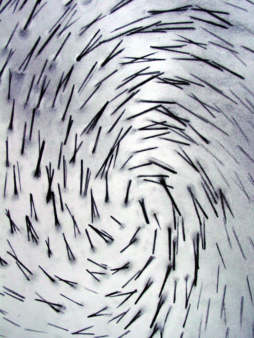 Diadem, 2004, Kate MccGwire