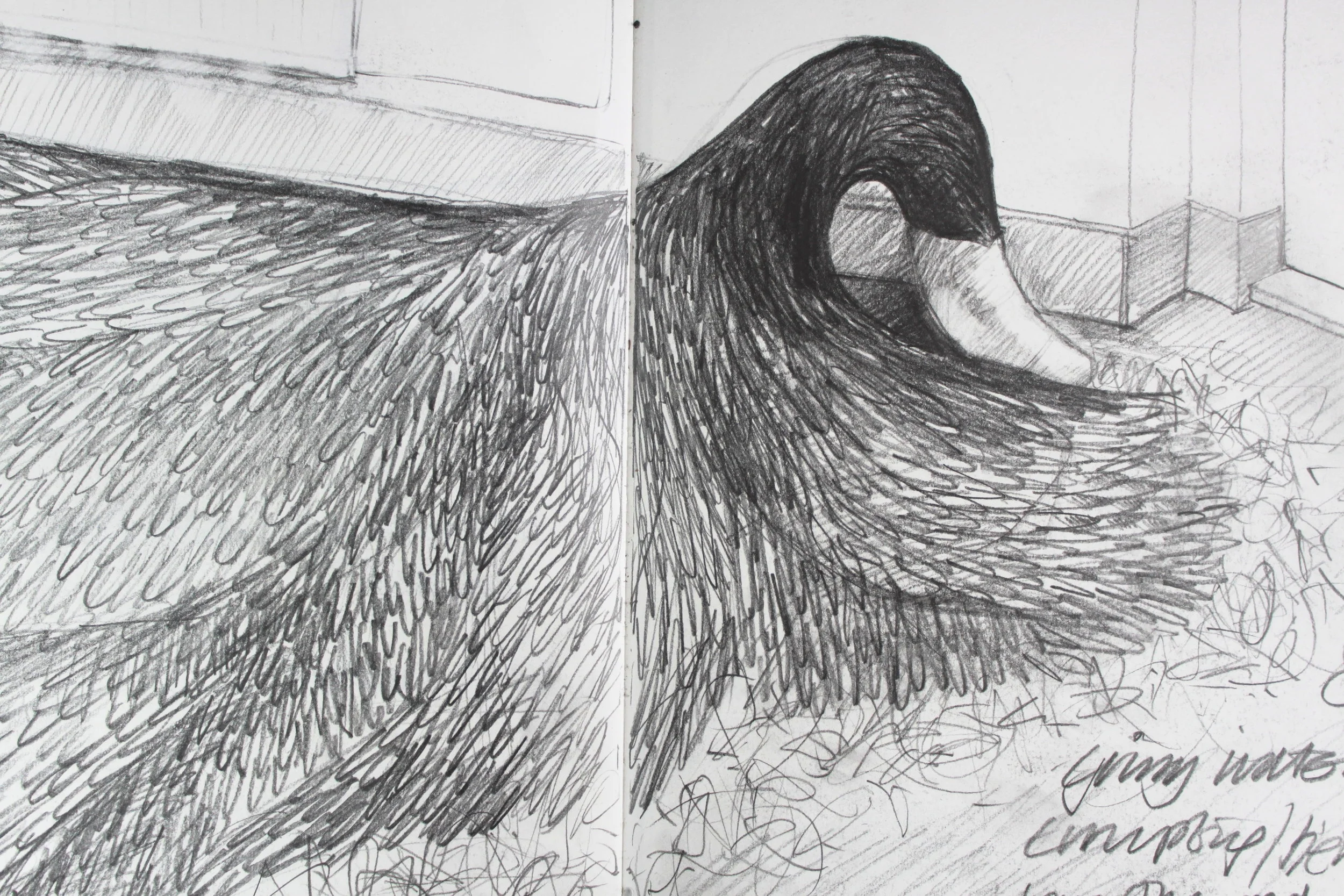 Sluice Sketch.JPG