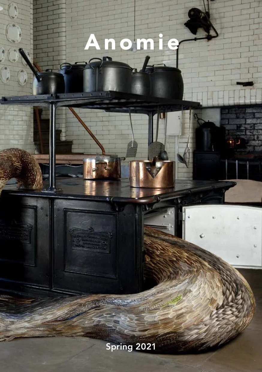 Anomie_Spring20_21_brochure_online-1.jpg