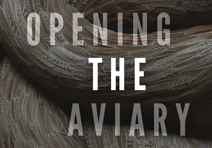 OPENING THE AVIARY, ANDOVER