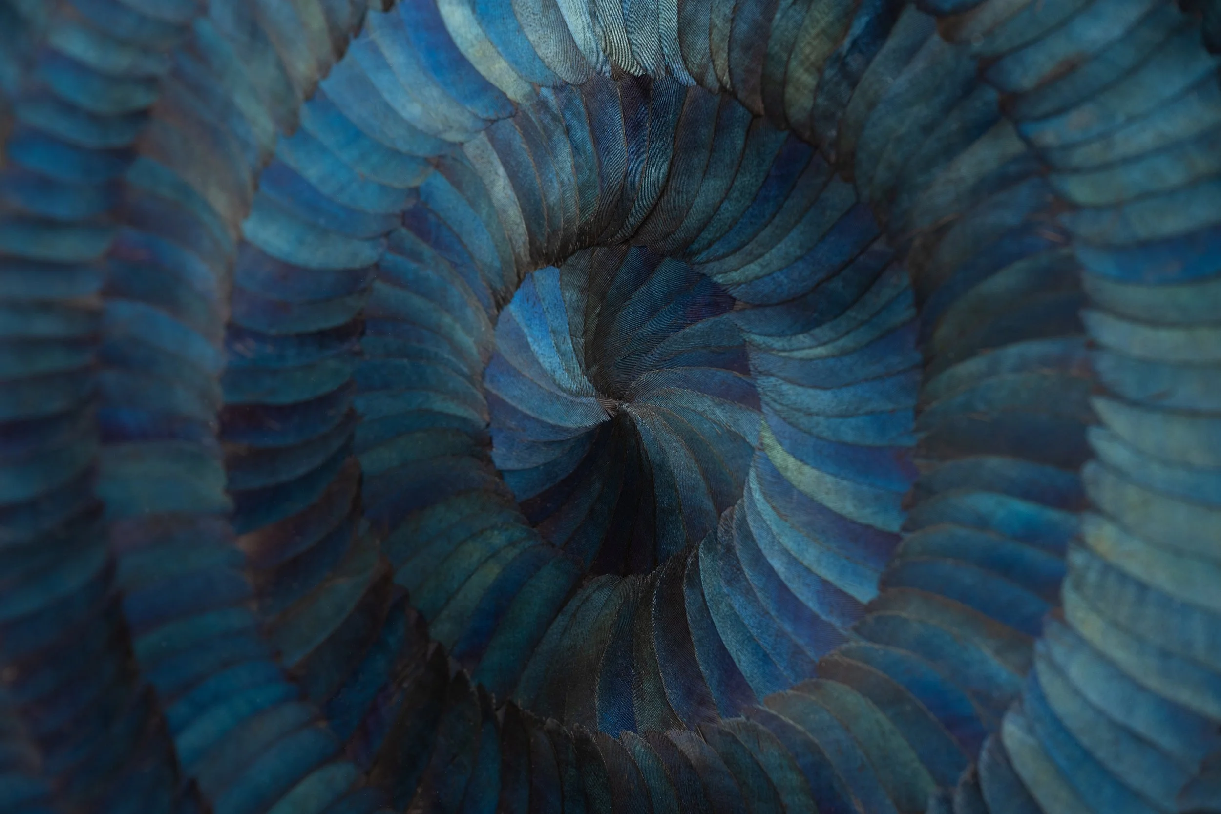 KateMccGwire_SHIVER_RESOUND_2025_PhotobyJPBland_Detail_01.jpg