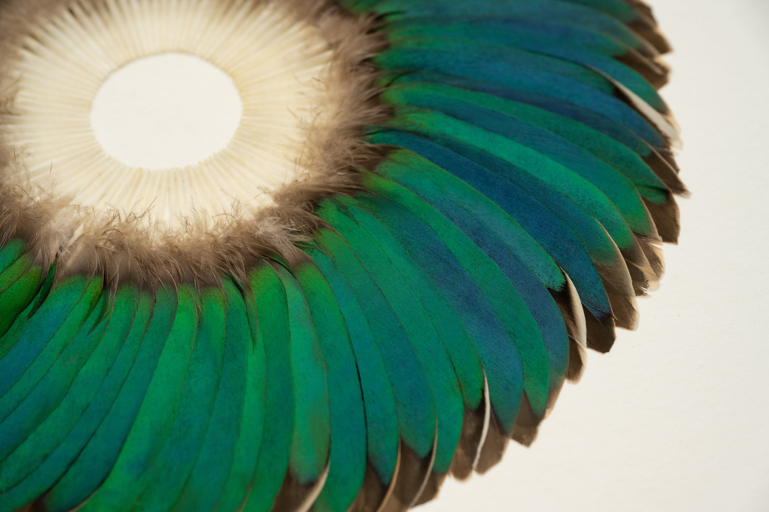 KateMccGwire_SEPAL_CRECCAII_2025_ByJPBland_Detail.jpg