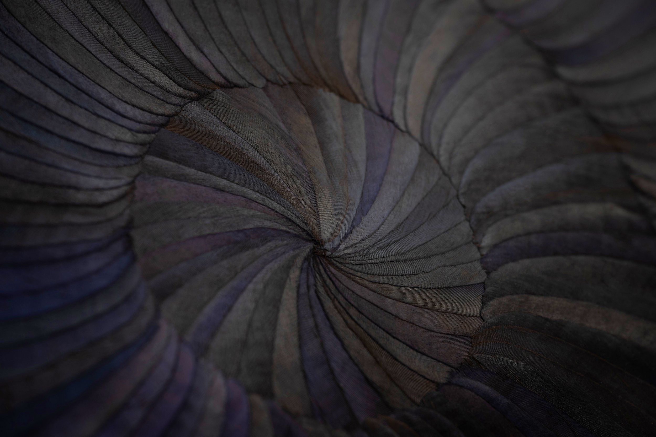 KateMccGwire_SHIVER(Signal)_2025_PhotobyJPBland_Detail_01.jpg