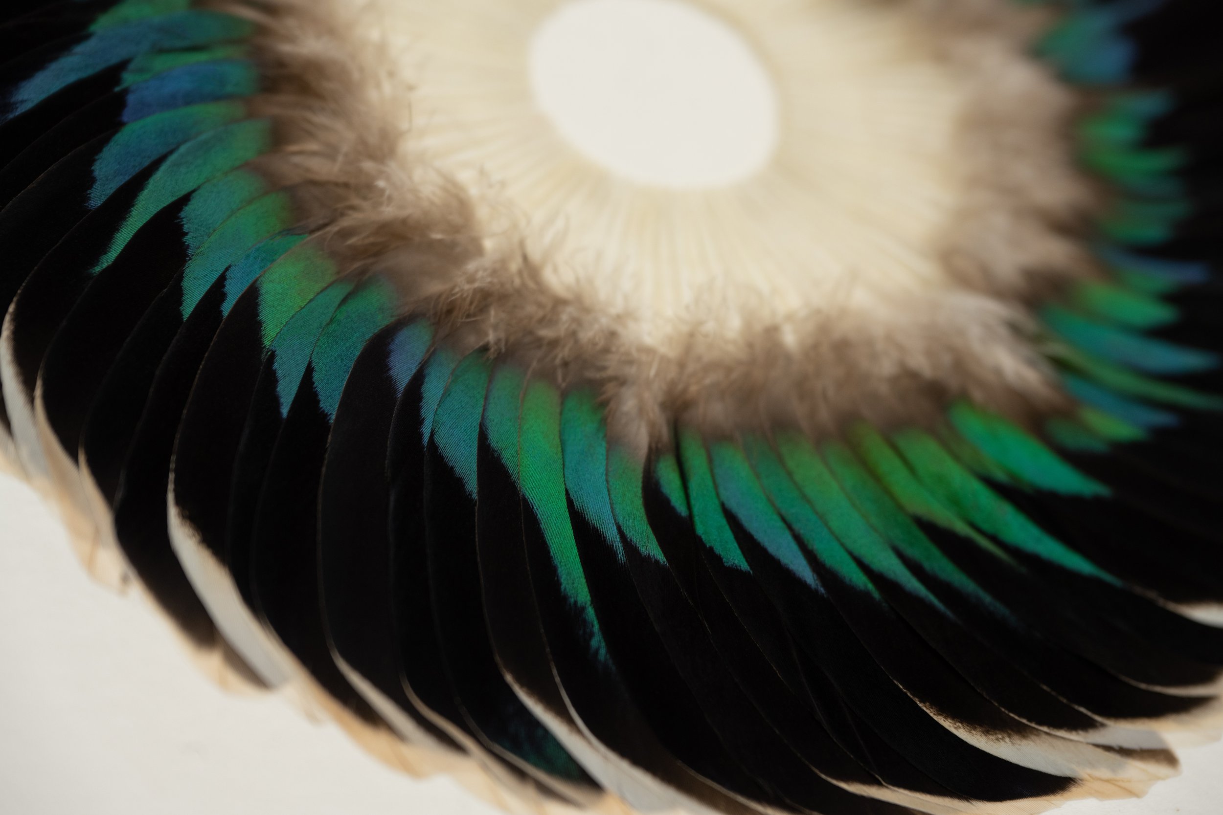 KateMccGwire_SEPAL_CRECCAFLAREI_2025_ByJPBland_Detail.jpg