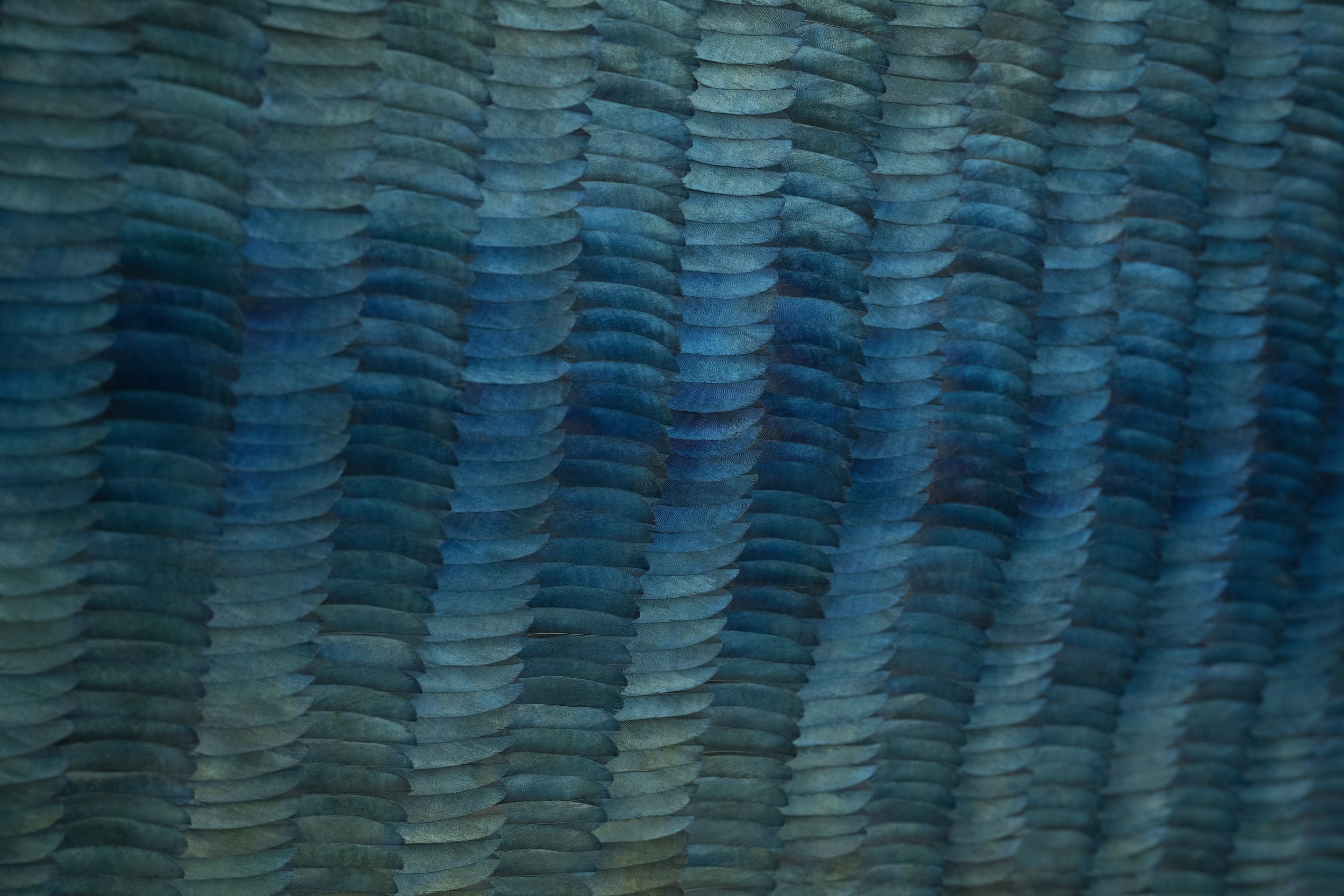 KateMccGwire_WHELM(Pervade)_2025_PhotobyJPBland_Detail_02.jpg