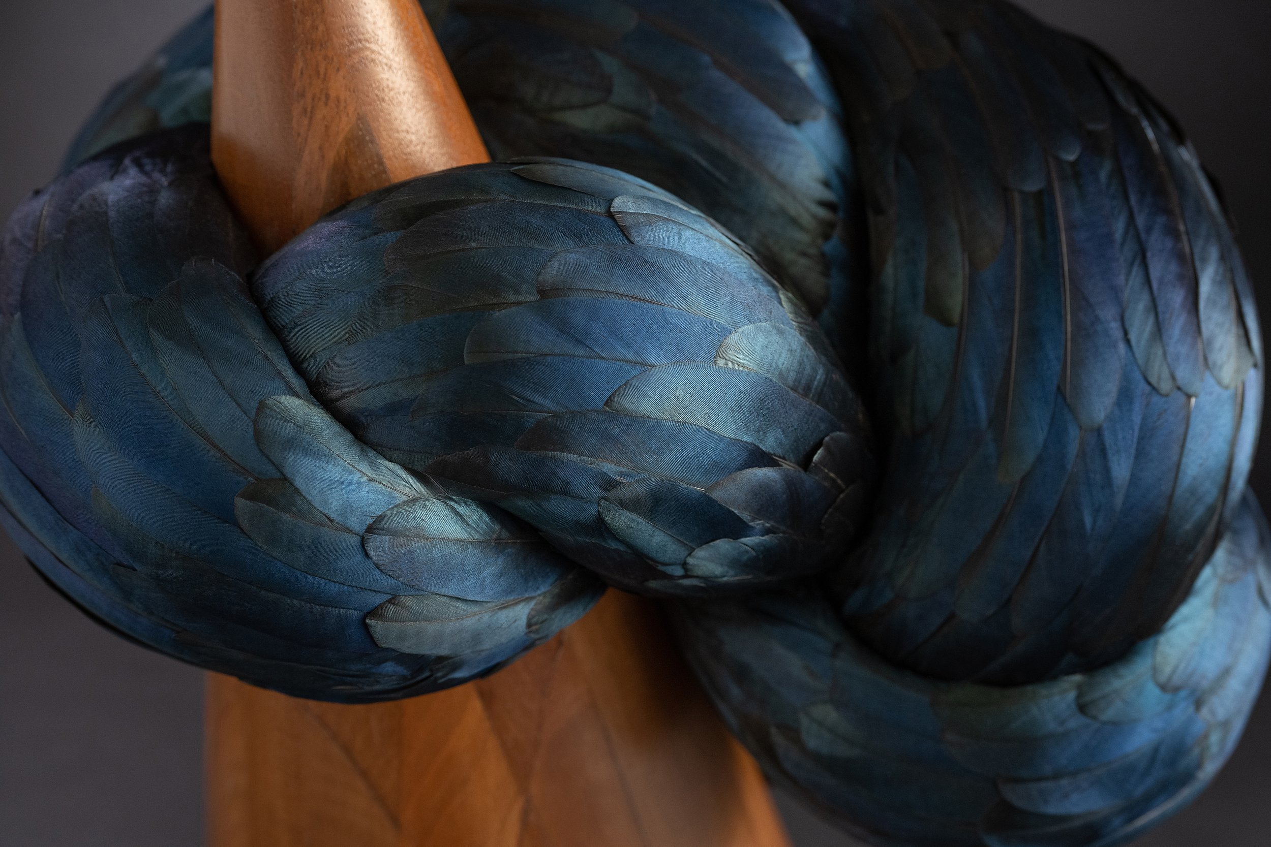 KateMccGwire_PINION_2025_PhotobyJPBland_Detail_01.jpg