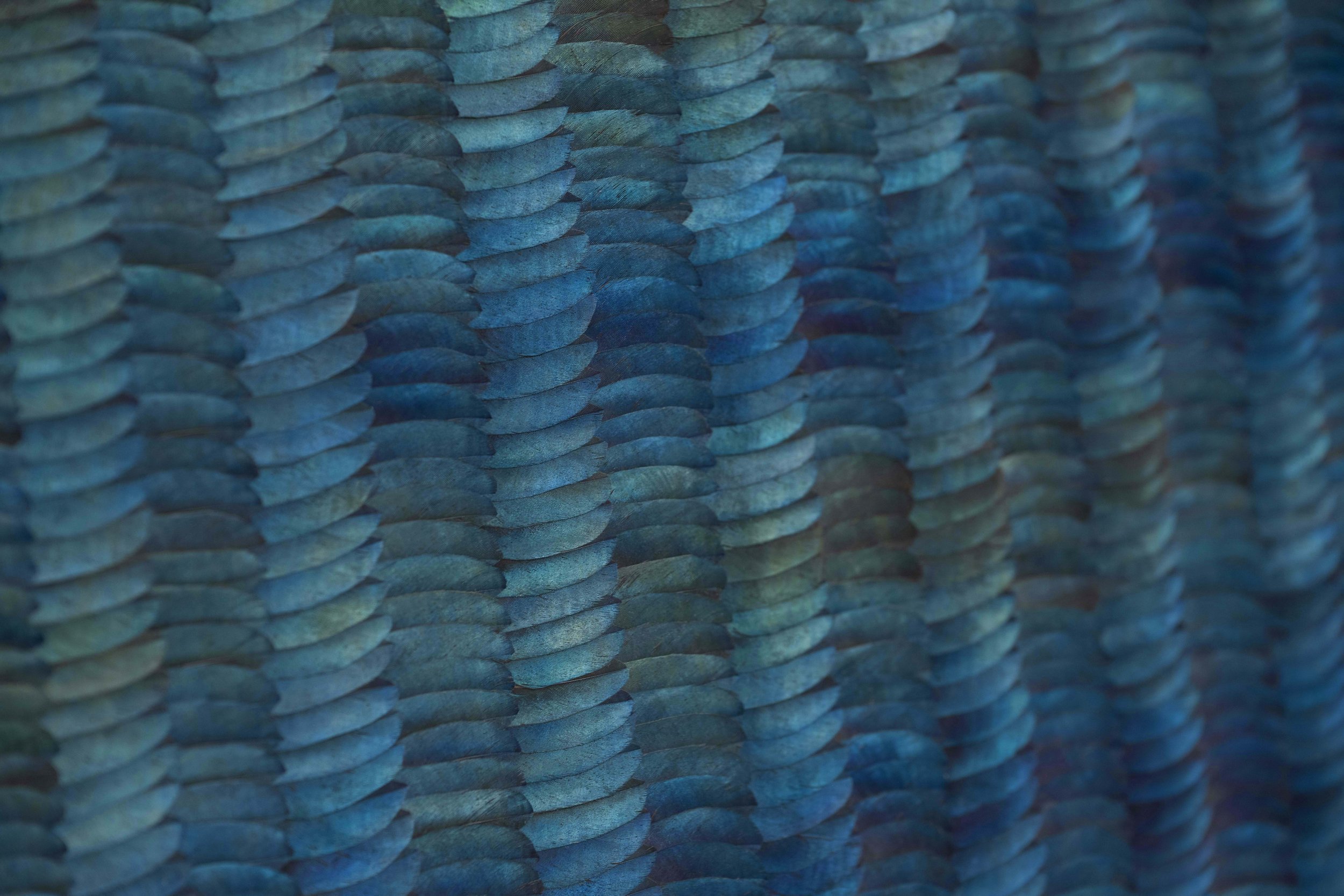 KateMccGwire_WHELMPermeate_2024_PhotoJPBland_03.jpg