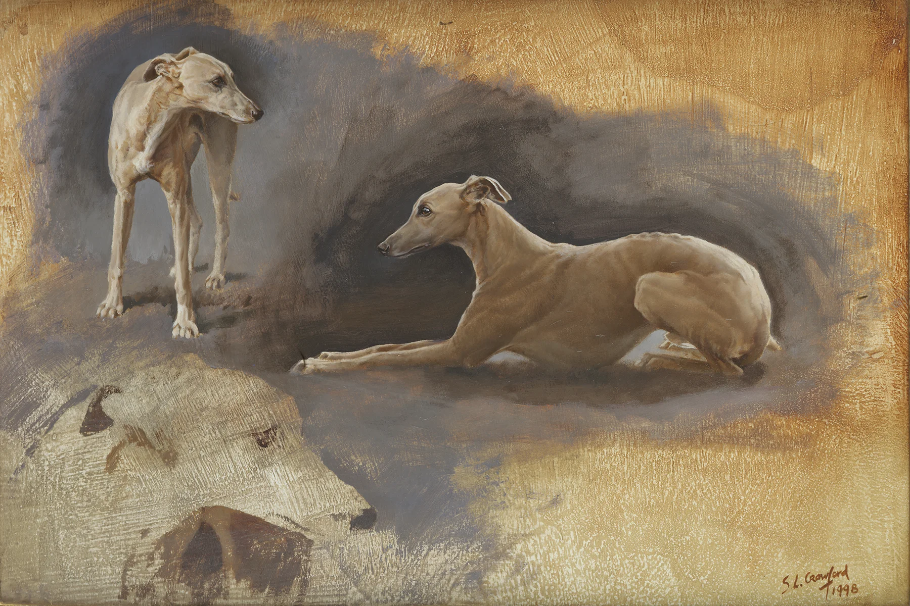 Study of a whippet.jpg