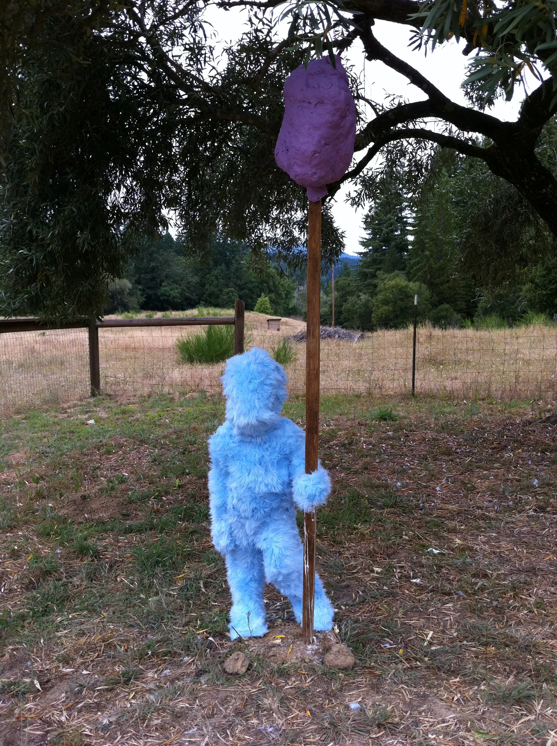 Untitled 2012