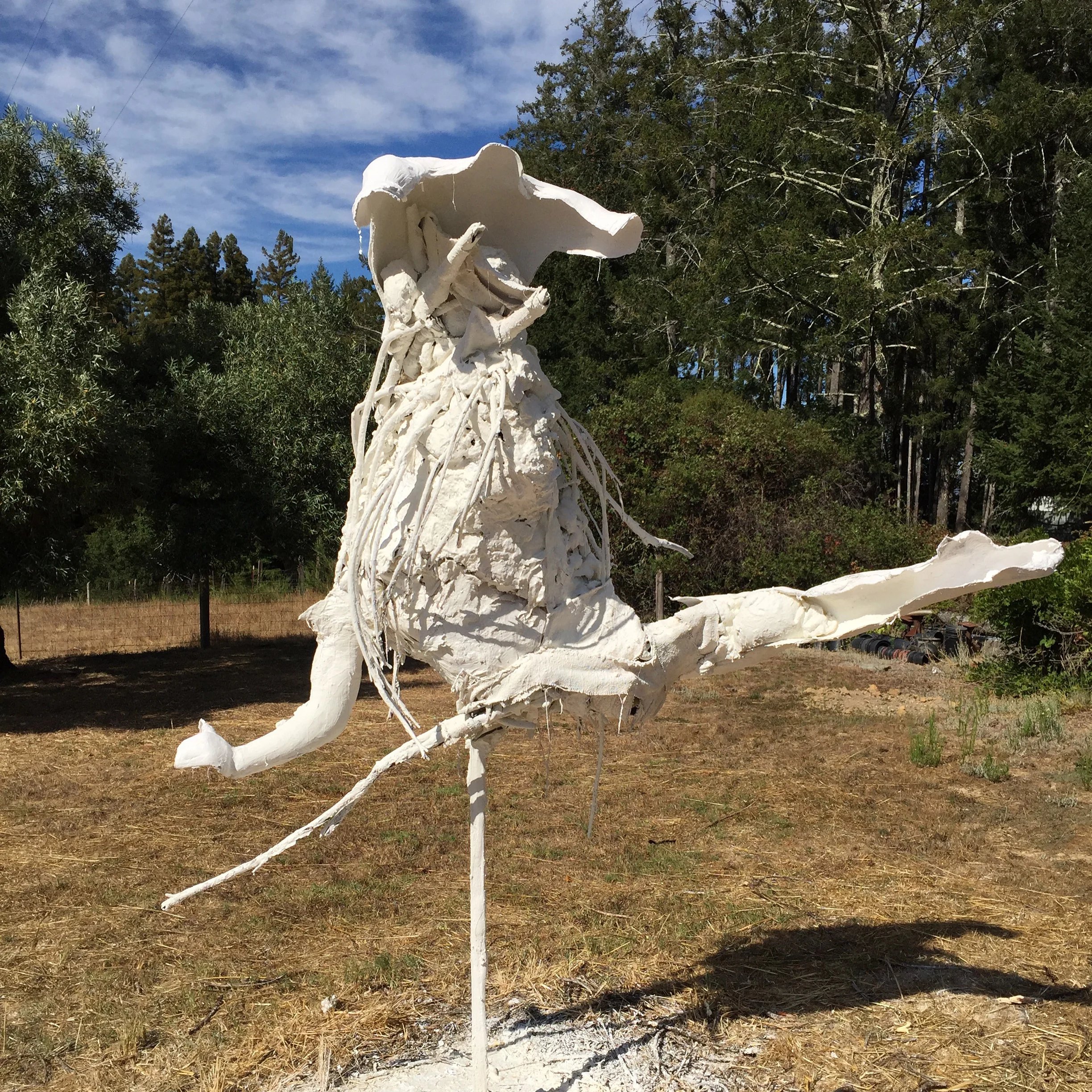 untitled 2015