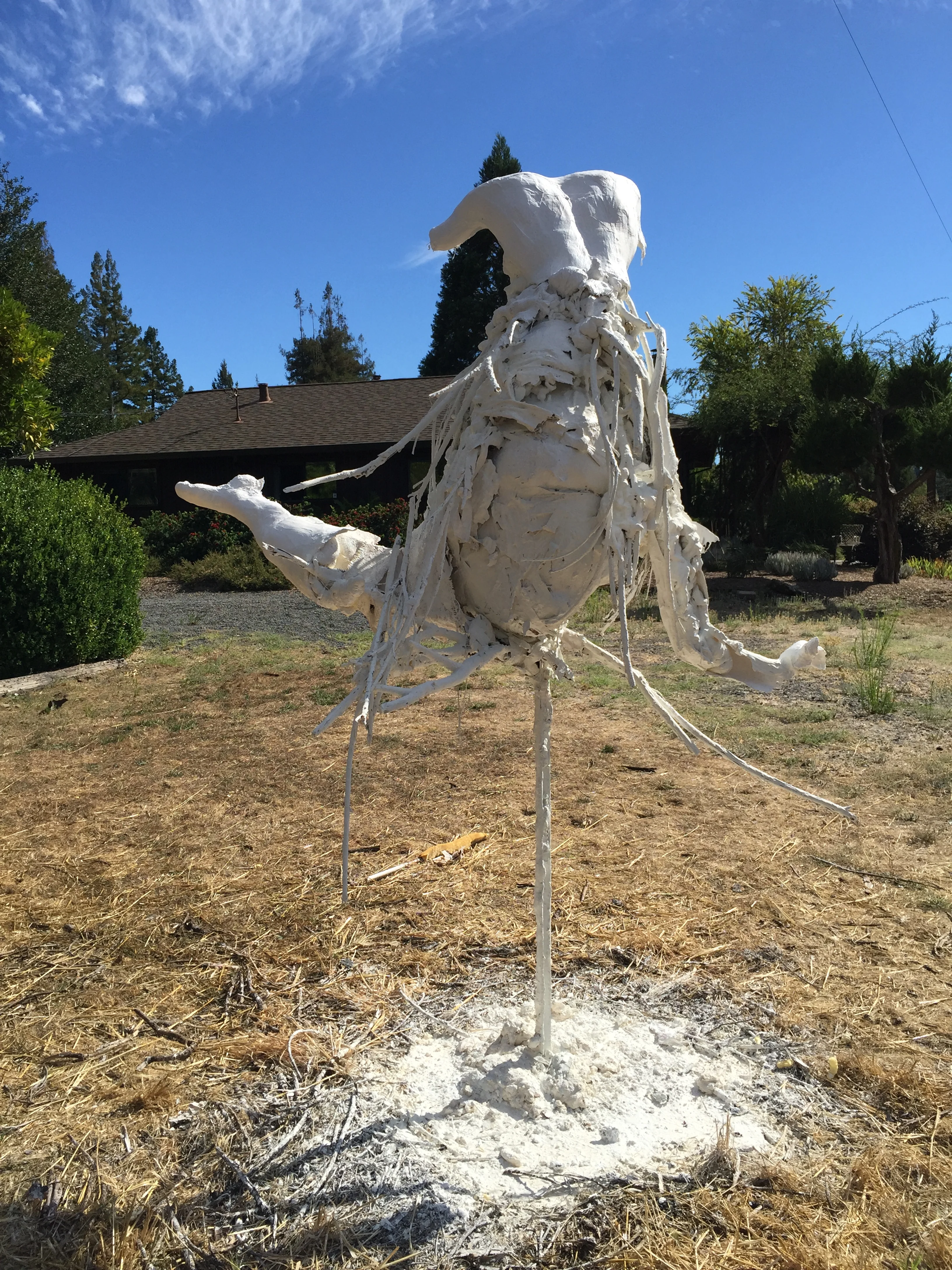 Untitled 2015