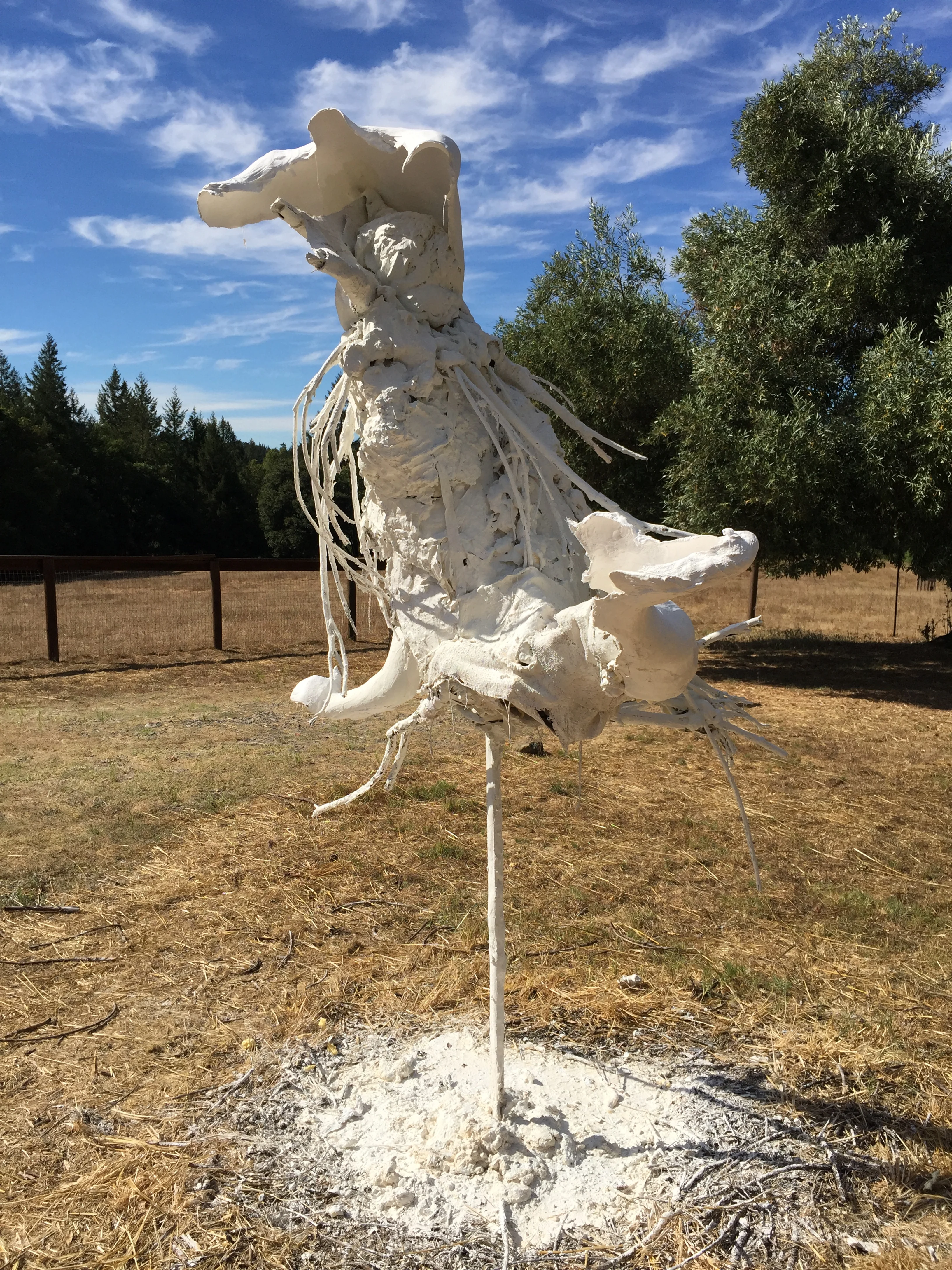 Untitled 2015