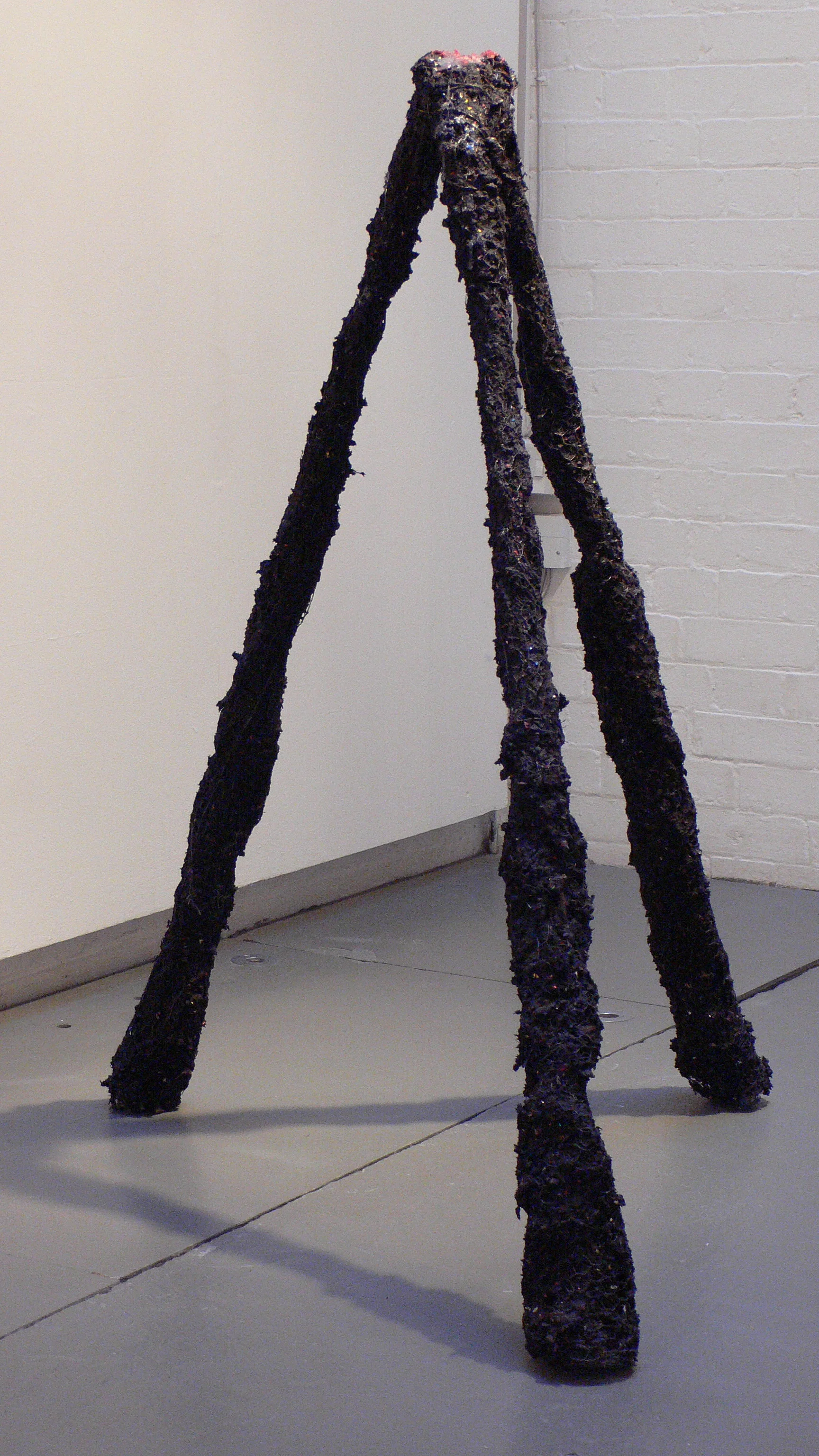 Tripod 2007