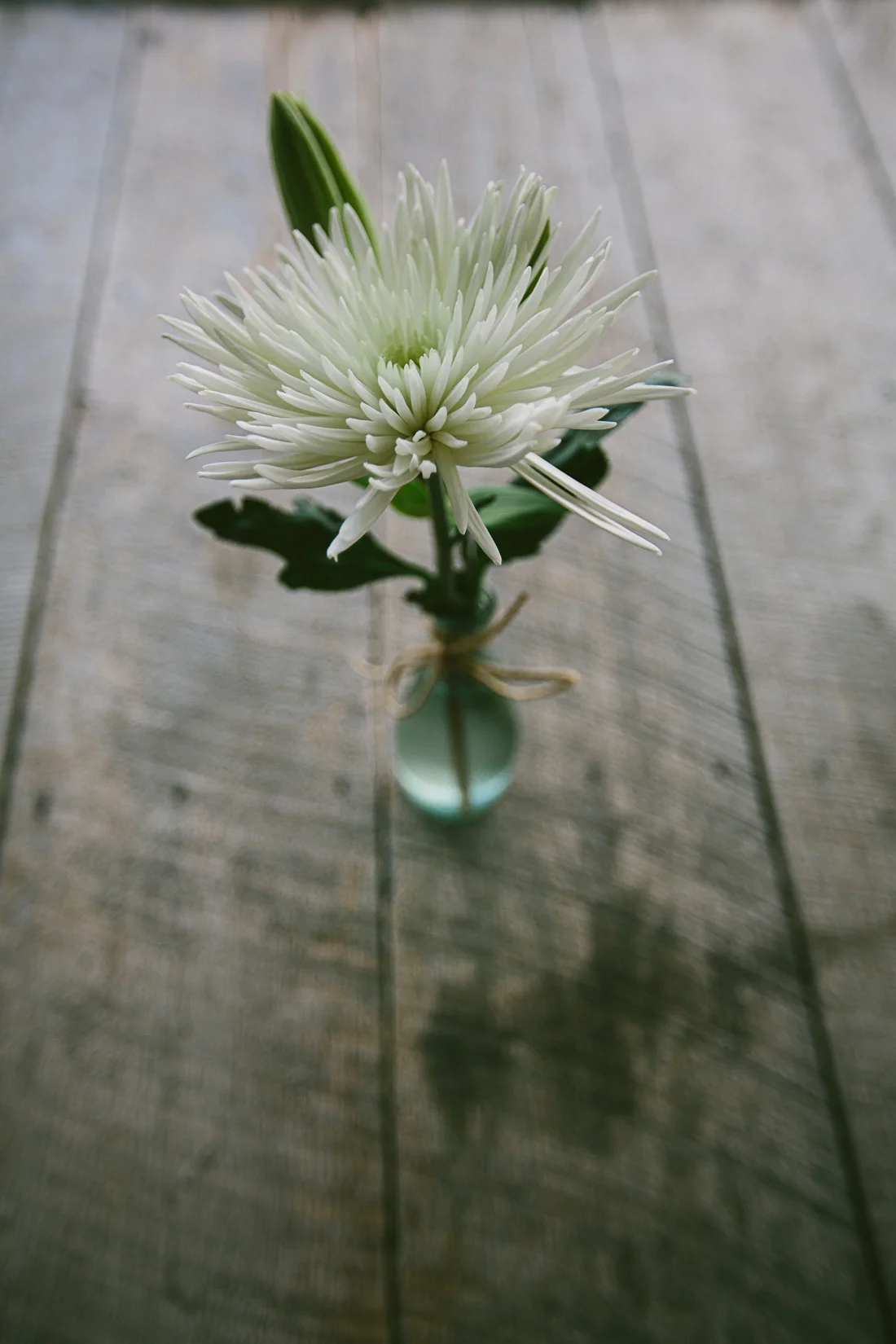 wedding teasers-16.jpg