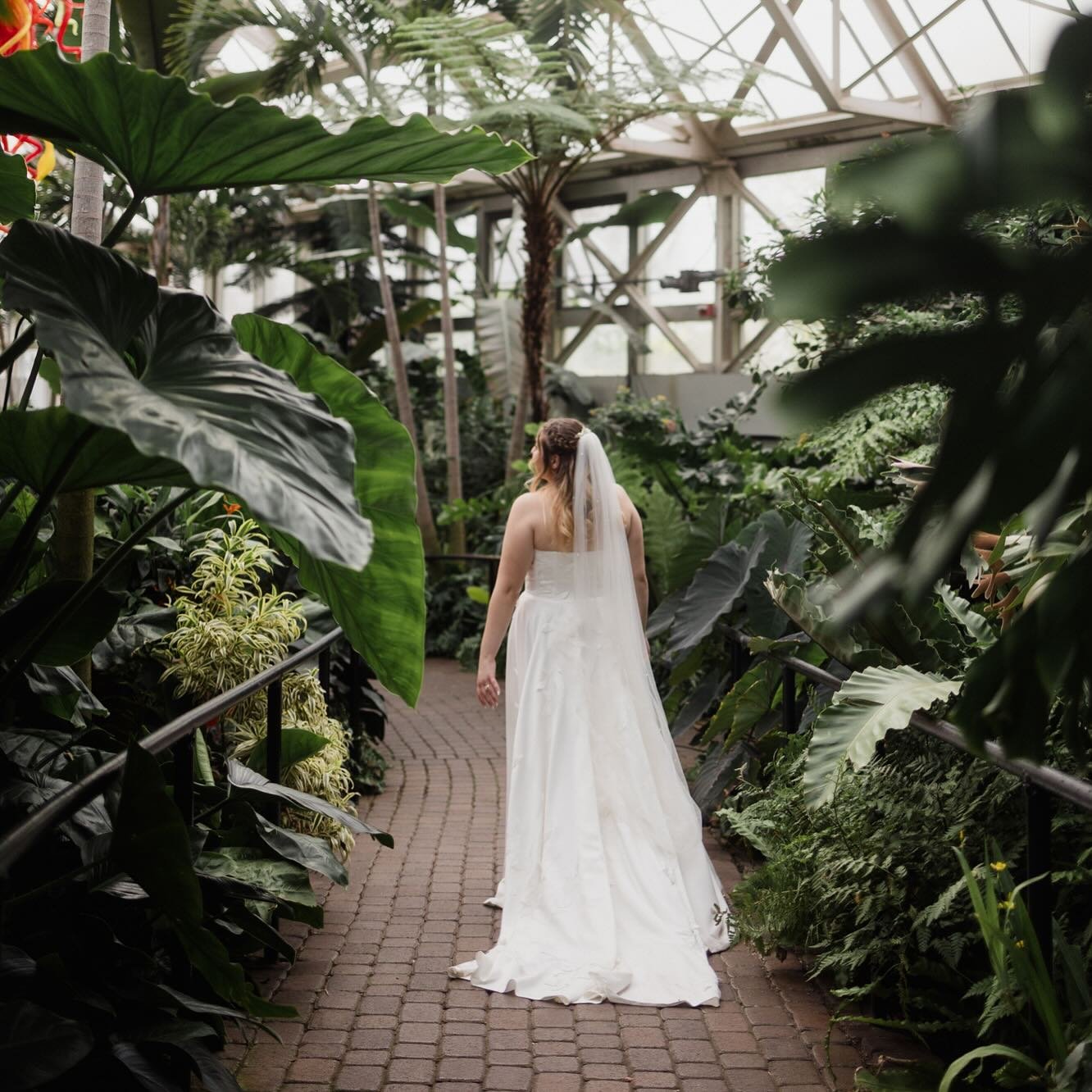 🌴never a bad angle when shooting in this greenhouse