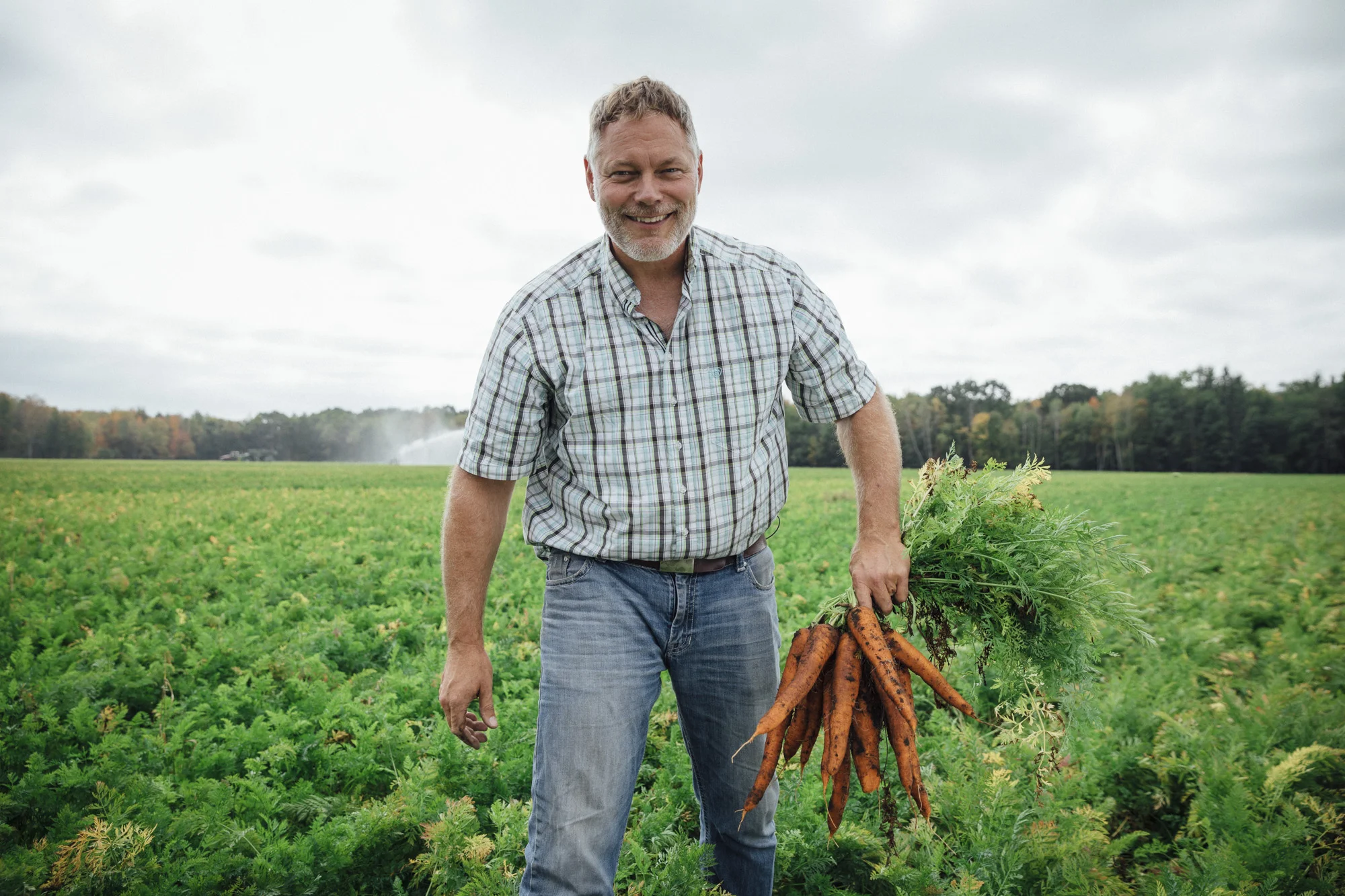 201709_Gerber_02_Karnemaat_Carrot_549.jpg