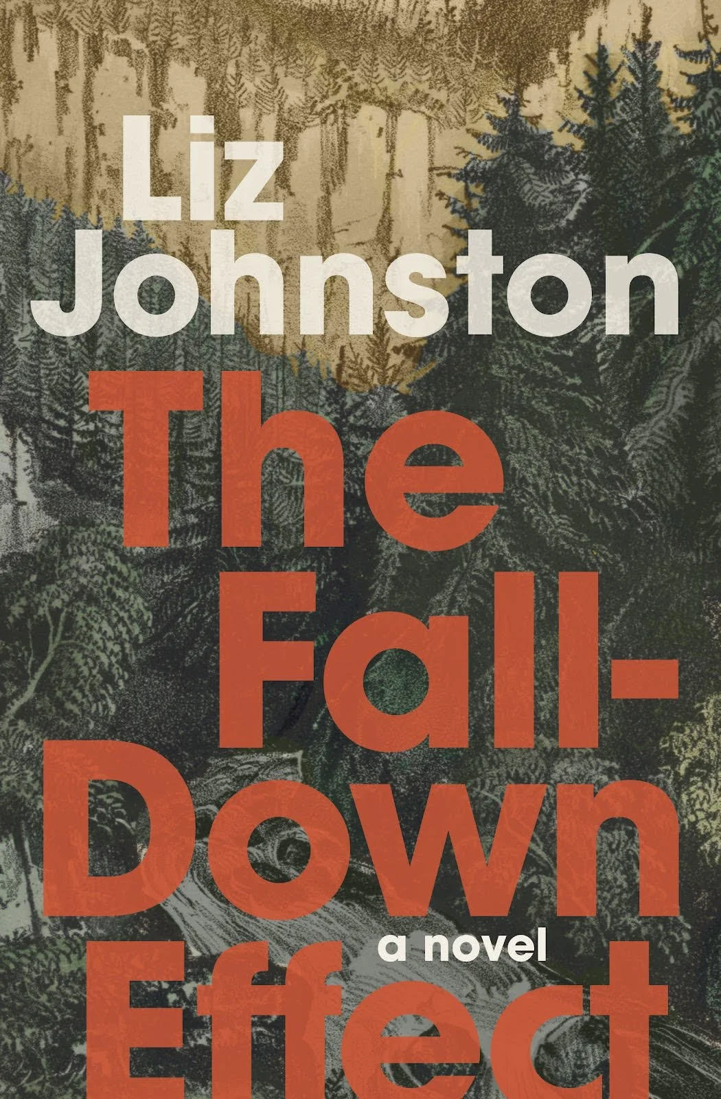 Excerpt from The Fall Down Effect by Liz Johnston