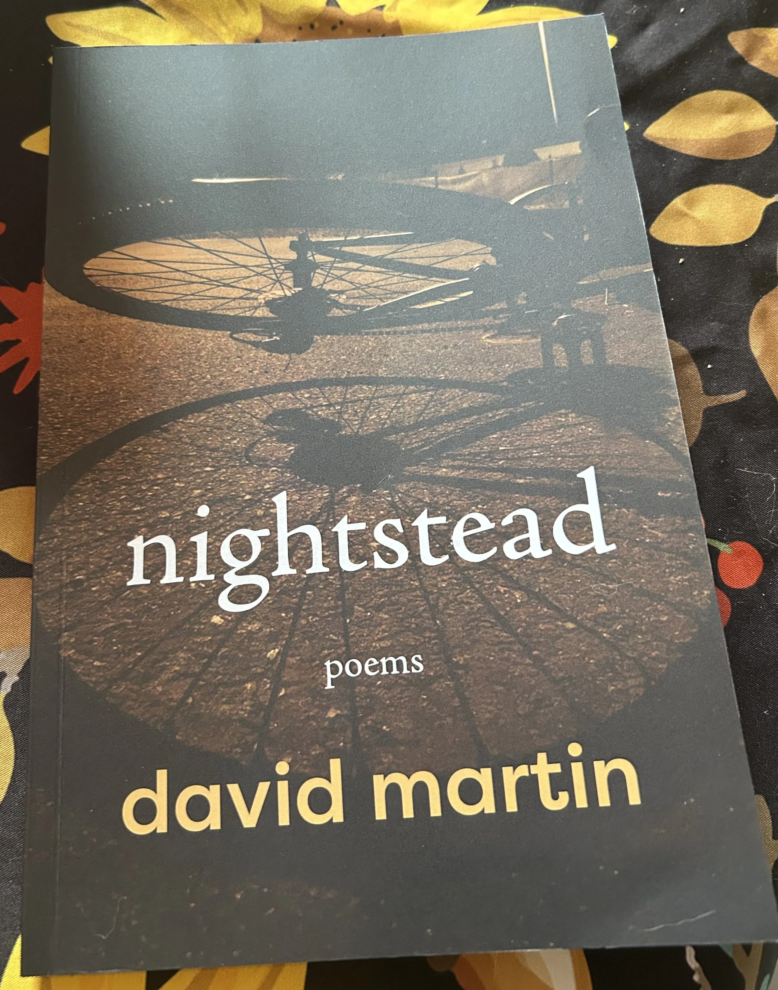 River Street Reviews: Catherine Owen reviews nighstead by David Martin